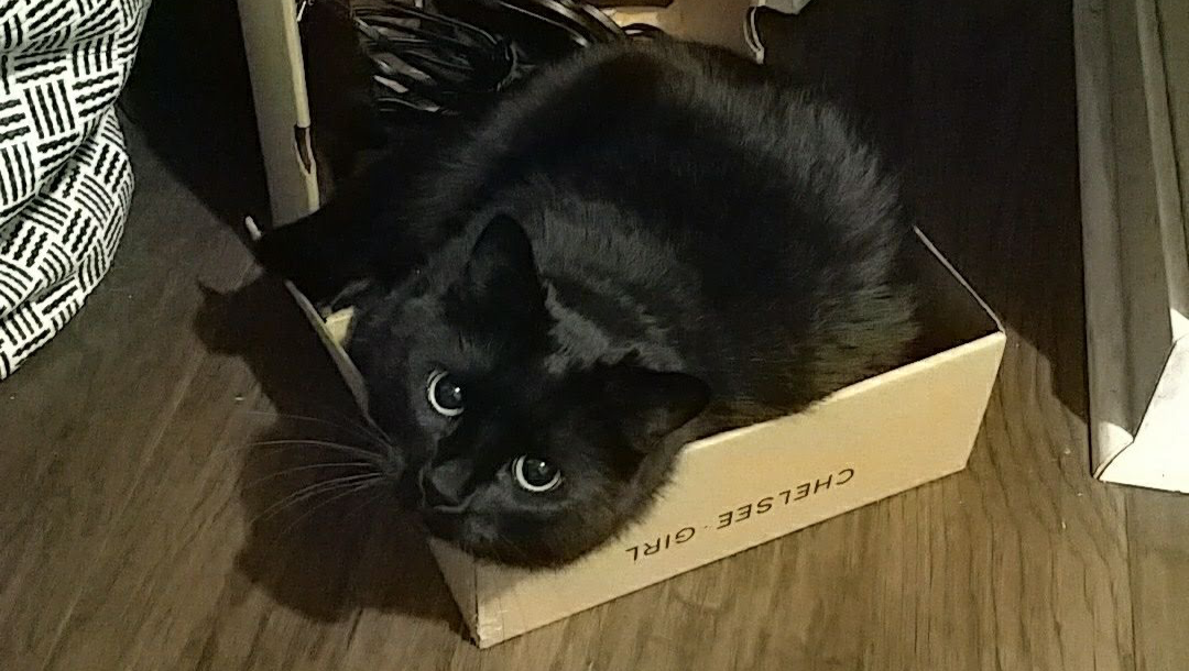 Moumou’ Story: Sudden FIC - PU Surgery needed photo
