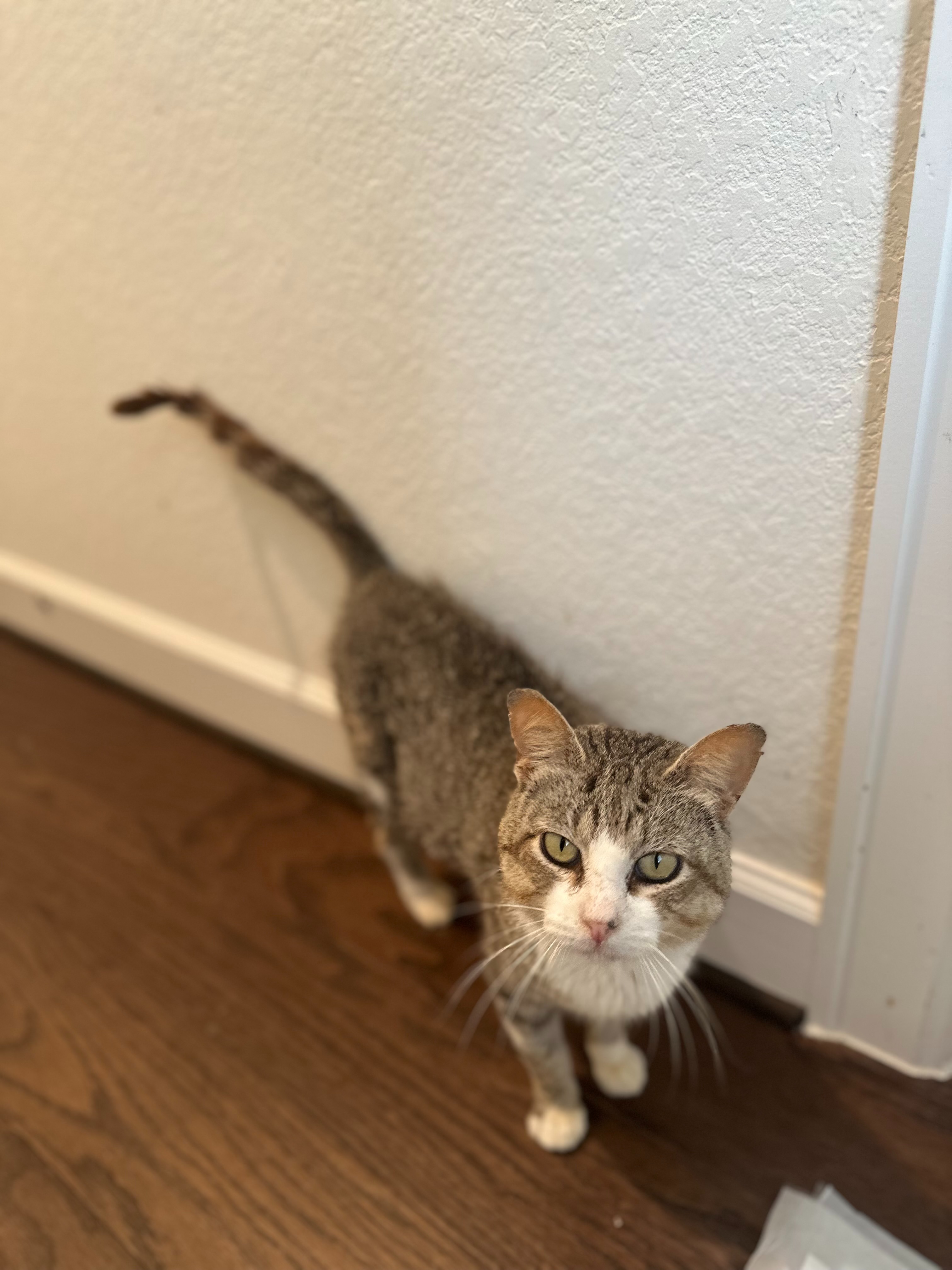 Help Buttons Overcome Severe Stomatitis campaign photo, 5 of 8