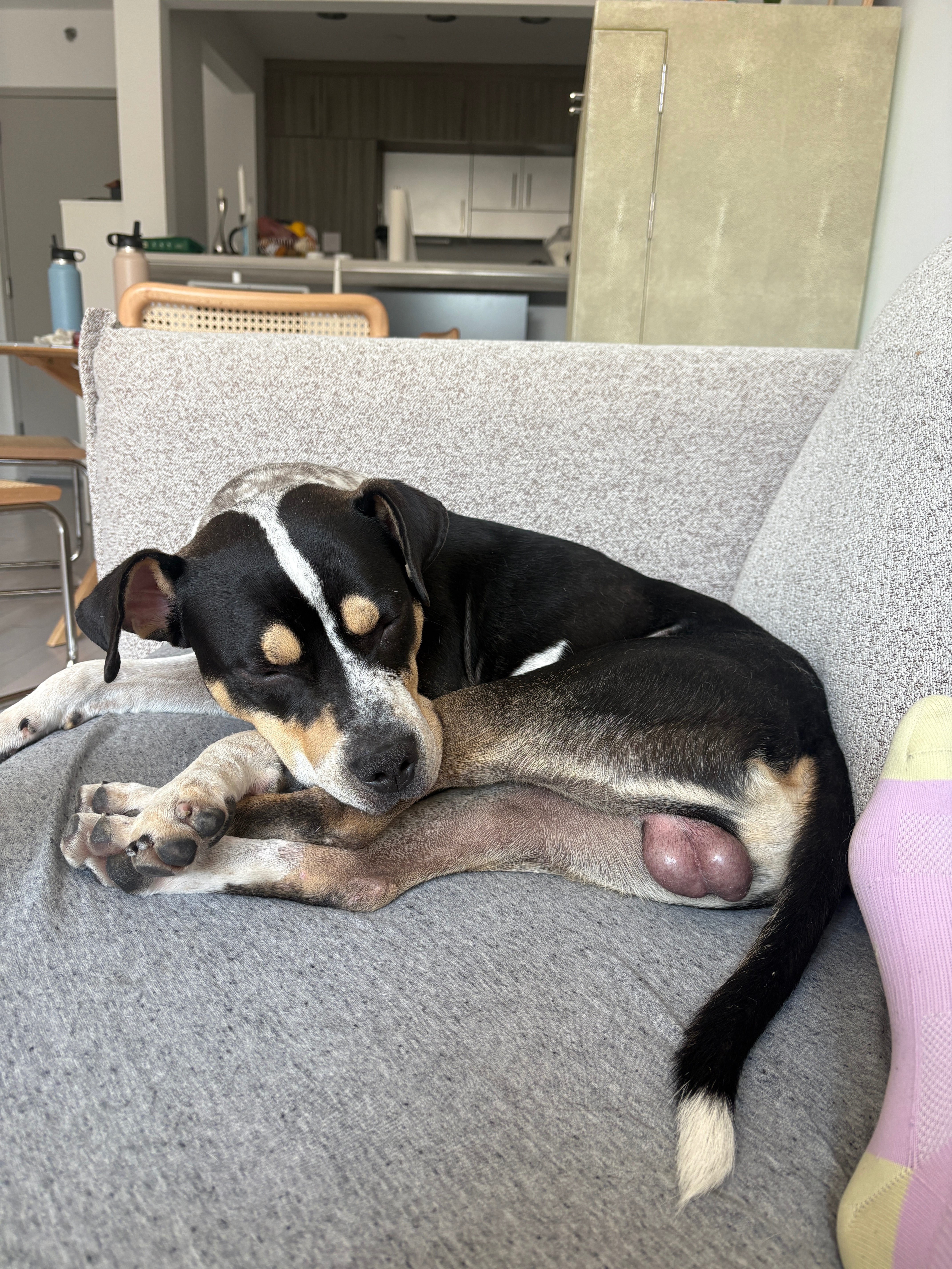 User-uploaded image 1