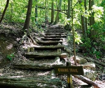 I Hike For Mental Health campaign photo, 5 of 7