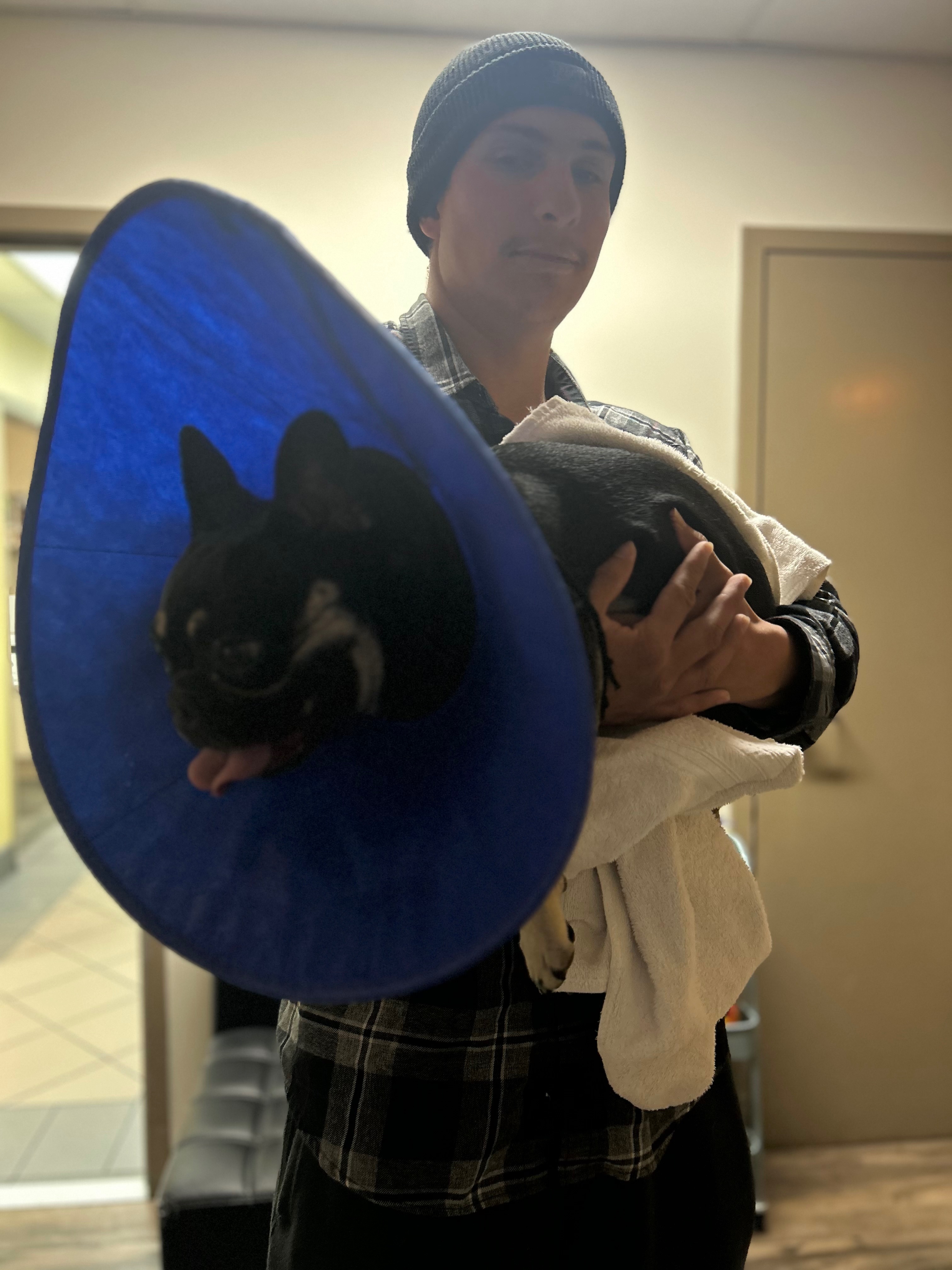 Save Conchita from Paralysis: Donate for Surgery campaign photo, 6 of 8