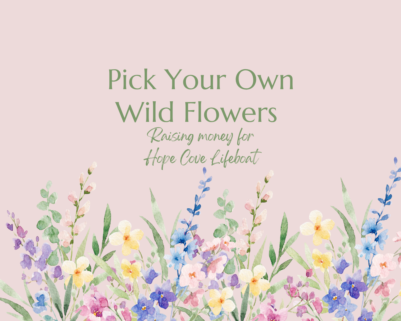 Aune Valley's PYO Wildflowers for Hope Cove Lifeboat campaign photo, 2 of 3