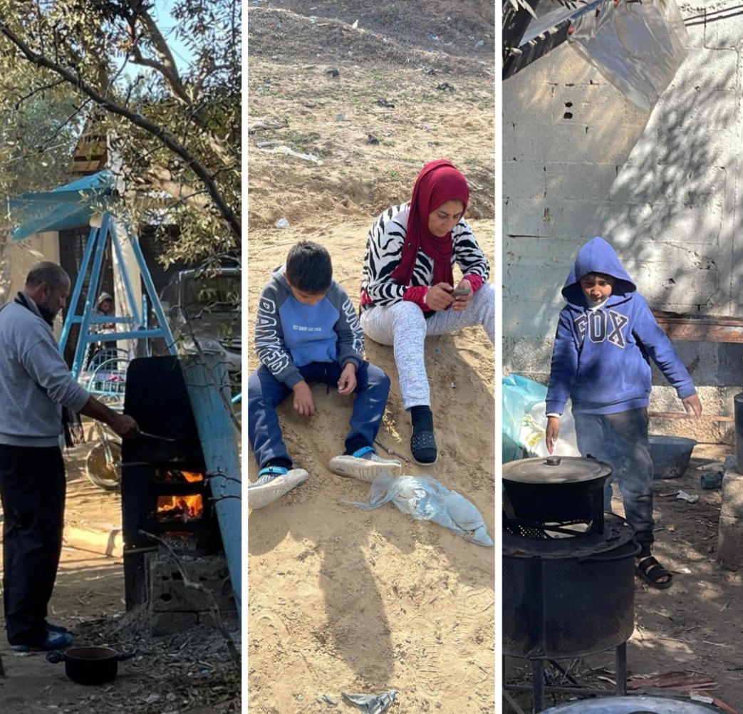 User-uploaded image 1