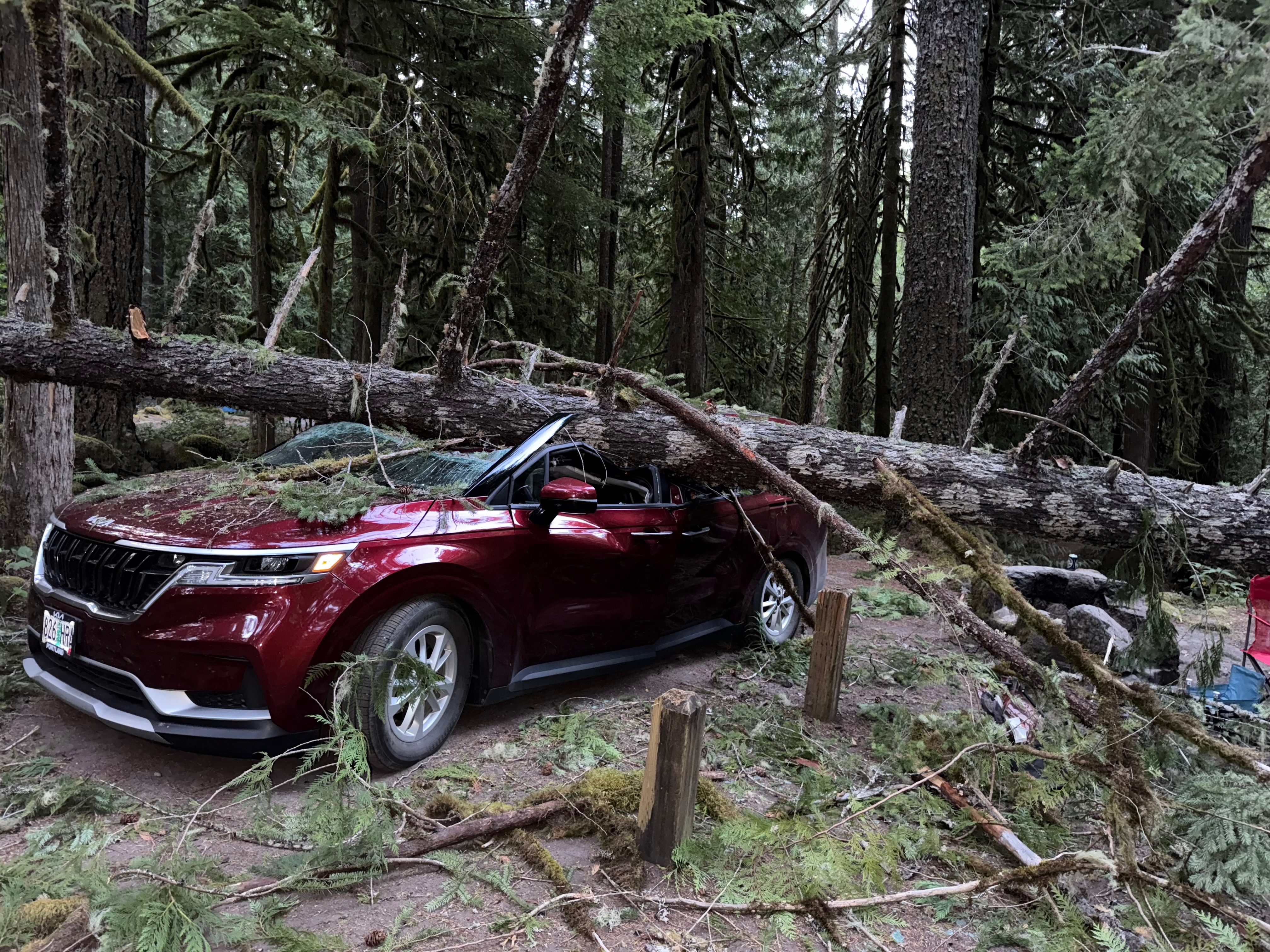 Help This Family Recover from Camping Tragedy campaign photo, 7 of 8