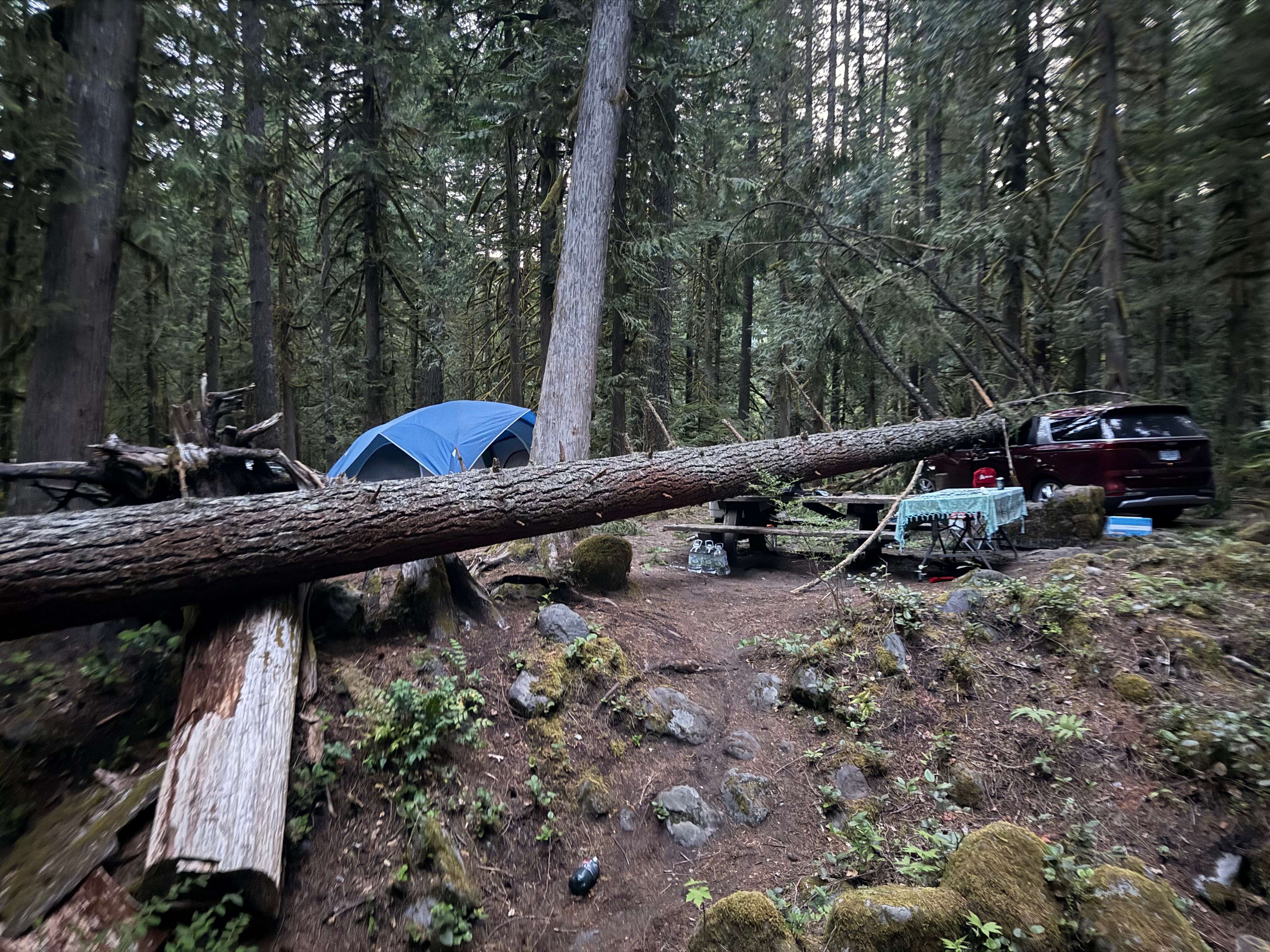 Help This Family Recover from Camping Tragedy campaign photo, 4 of 8
