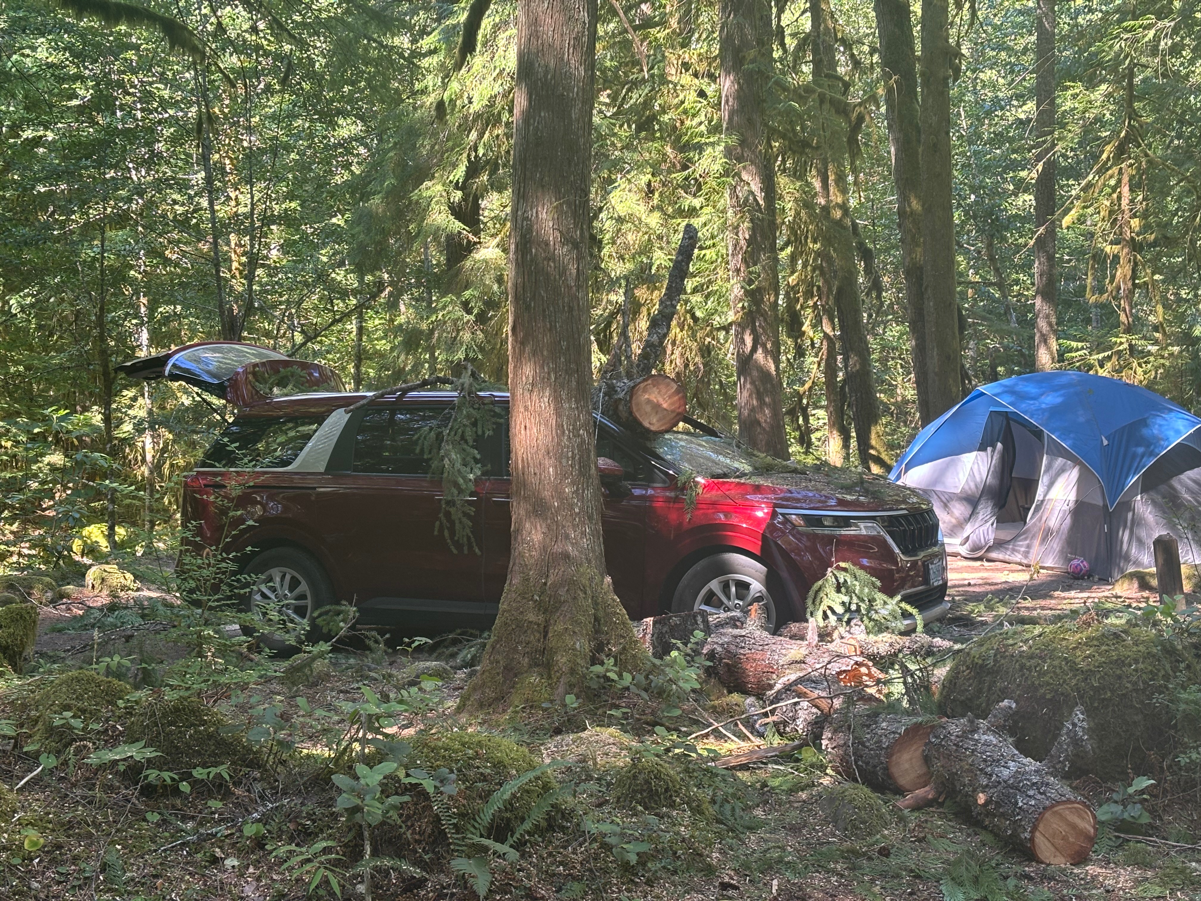 Help This Family Recover from Camping Tragedy campaign photo, 5 of 8