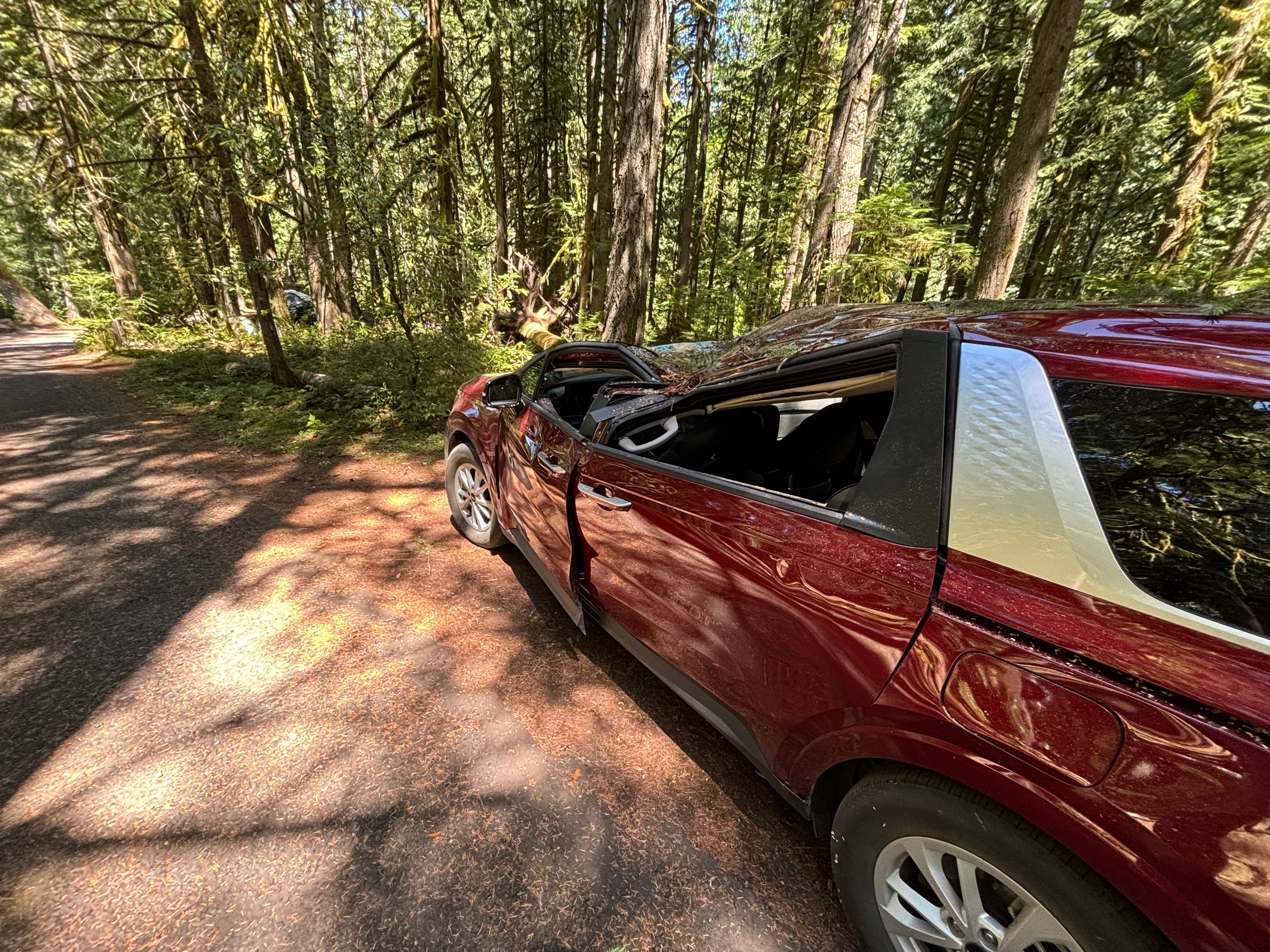 Help This Family Recover from Camping Tragedy campaign photo, 6 of 8
