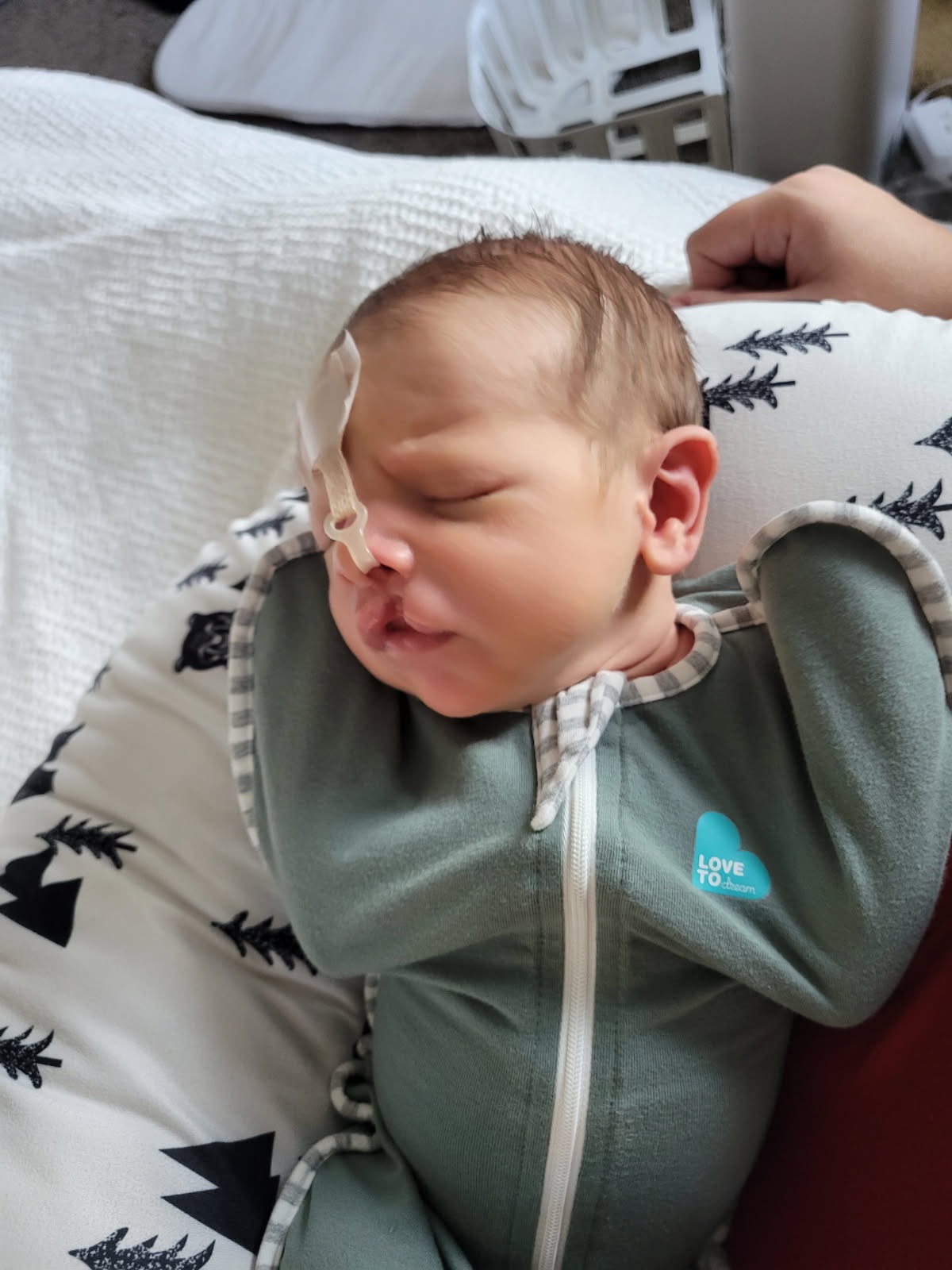 Caring for a Teacher Family in Need campaign photo, 6 of 8