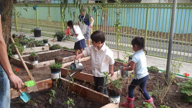 Growing Hope in Pinal County – Garden & Wellness Project pinned link photo
