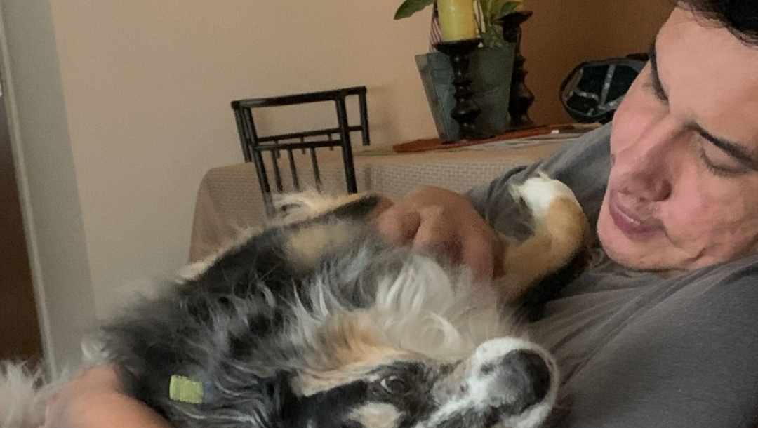 <h1>Support Joey and Dogs After Wolf’s Passing<span class="hidden-full-title" style="display:none;"> ❤️ by Kaitlyn Gilyot</span></h1>