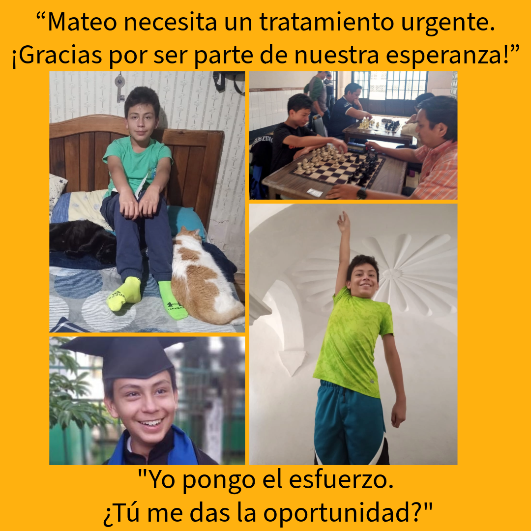 User-uploaded image 1