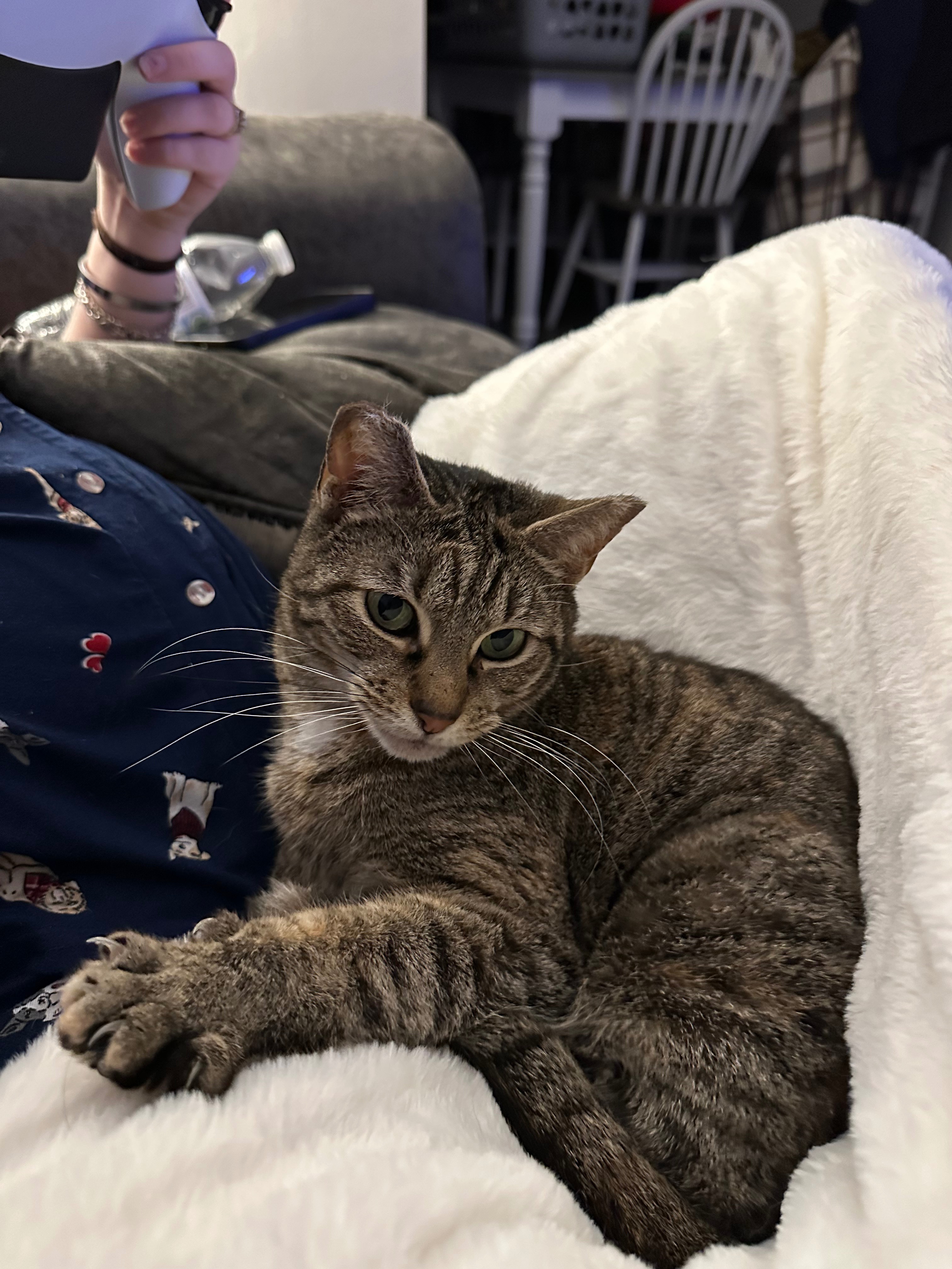 Help Billy Girl Heal: Urgent Surgery Needed campaign photo, 2 of 5