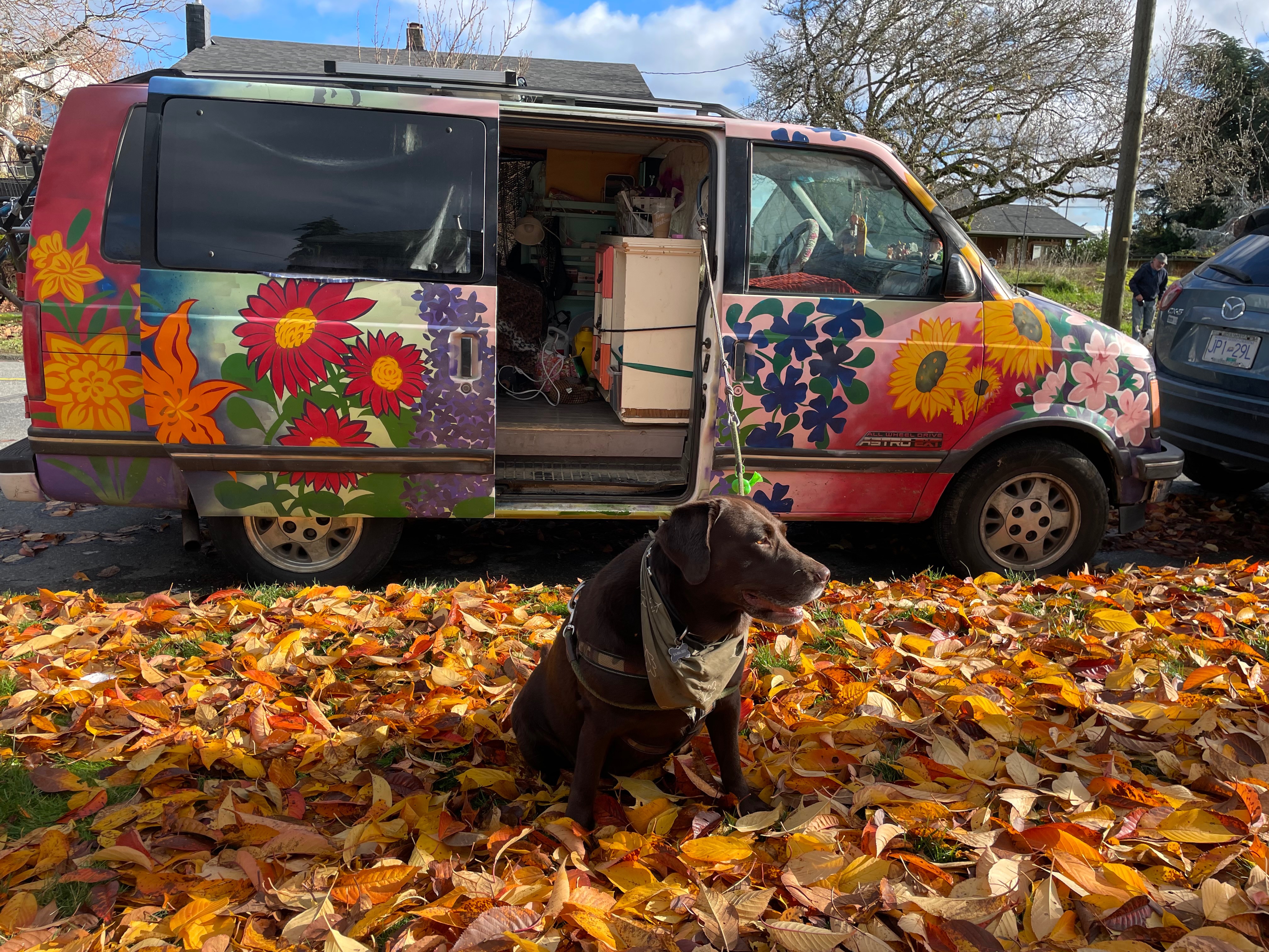 Stranded Far From Home With My Dog, Emmergency Car Repairs campaign photo, 7 of 8