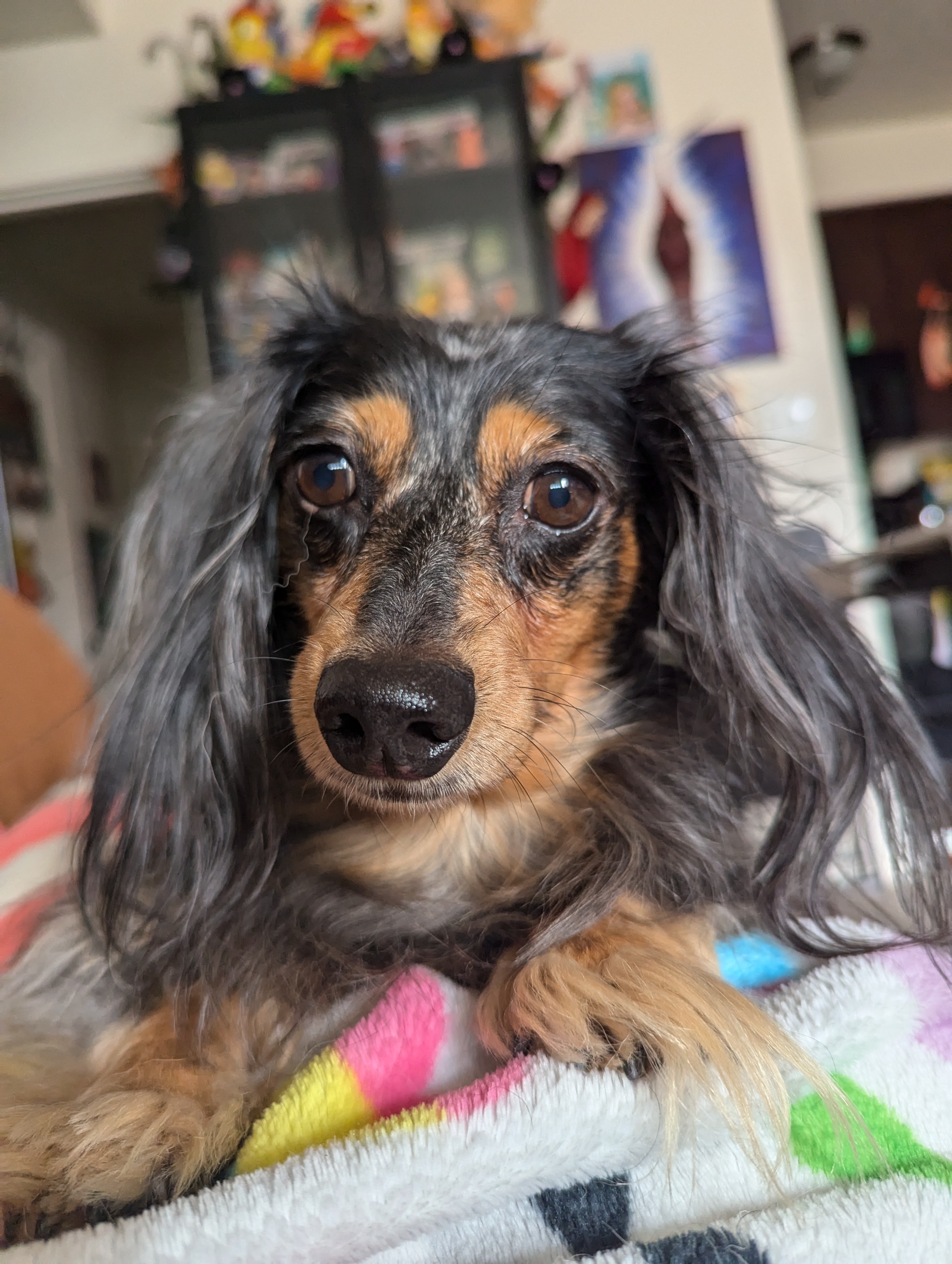 PLEASE HELP MY BABY Get Urgent Medical Care!!! campaign photo, 7 of 8