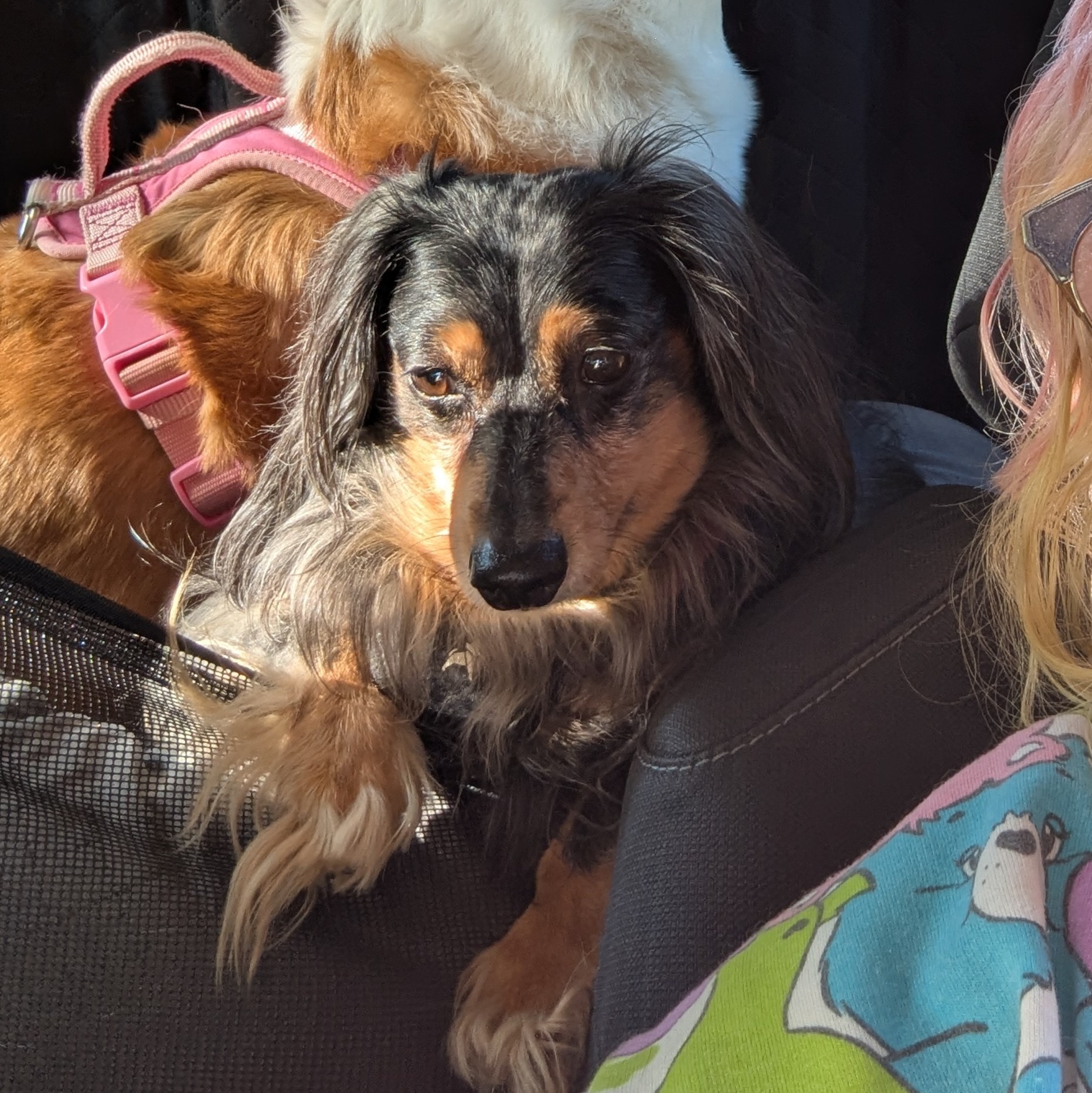 PLEASE HELP MY BABY Get Urgent Medical Care!!! campaign photo, 4 of 8