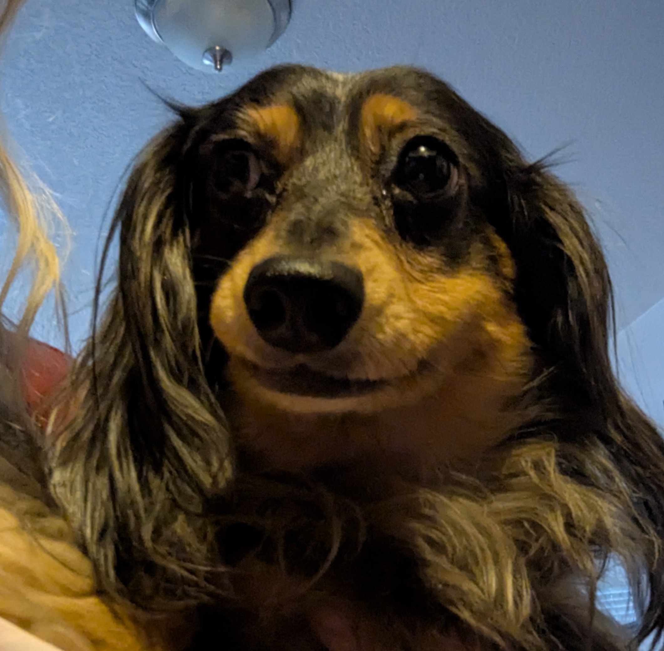PLEASE HELP MY BABY Get Urgent Medical Care!!! campaign photo, 5 of 8