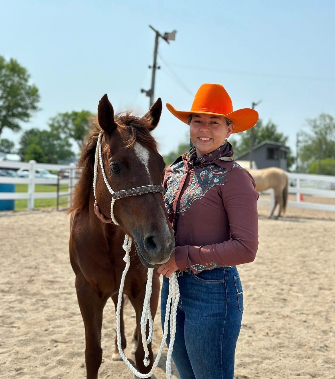 Donate to Save Emilee's Beloved Horse Calie campaign photo, 2 of 6