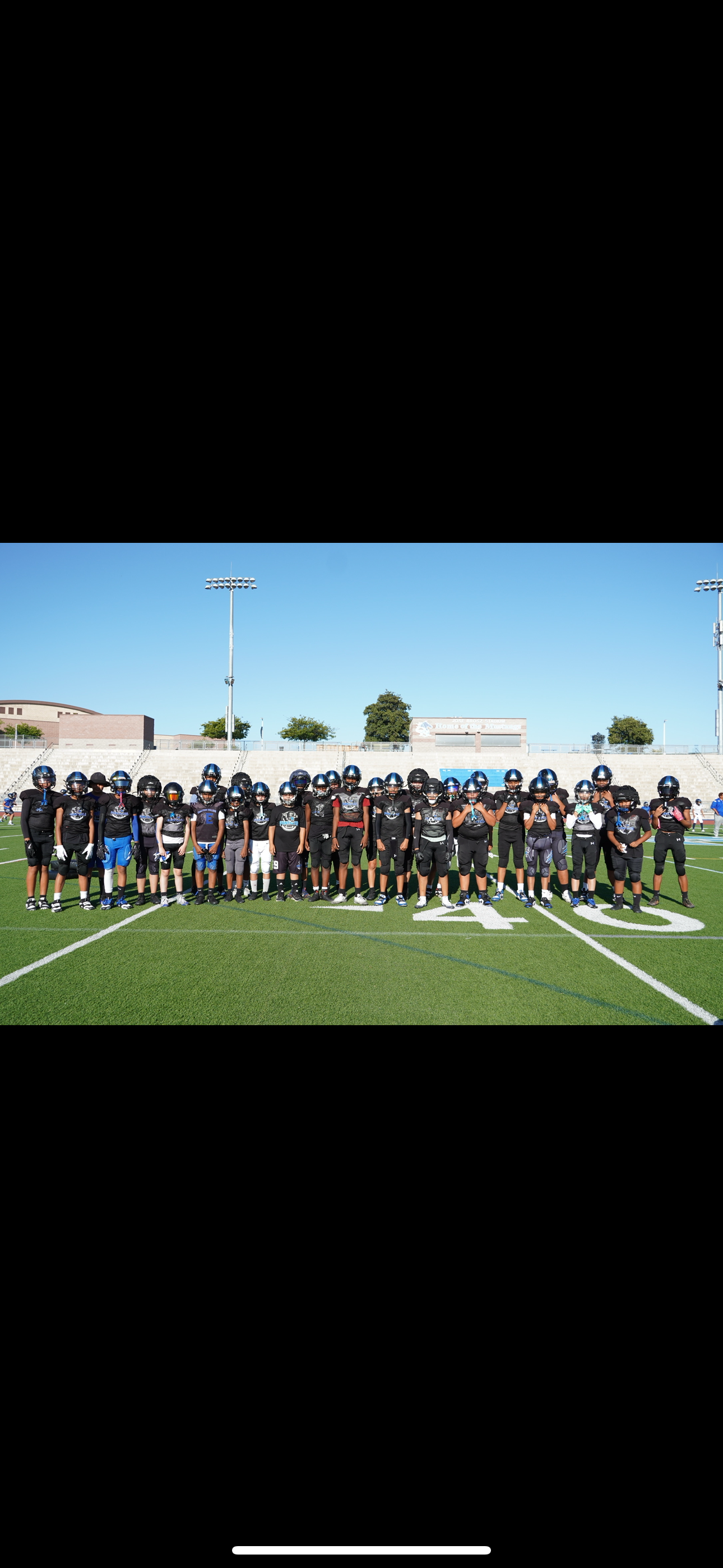 Help 12U Panthers Reach Nationals campaign photo, 2 of 4
