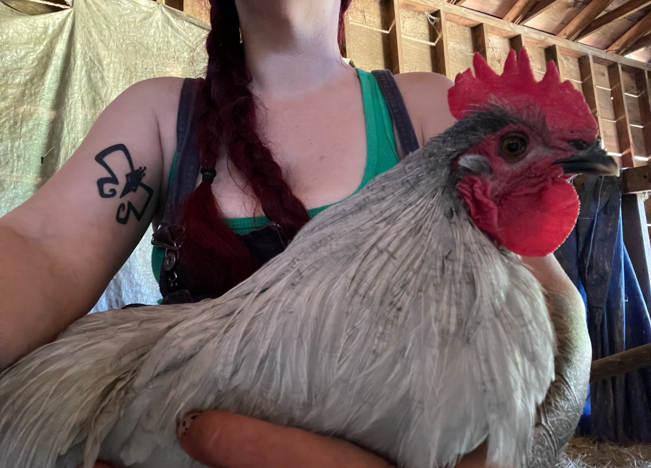 Help Buffy Rebuild Her Rescue Animal Haven campaign photo, 4 of 8