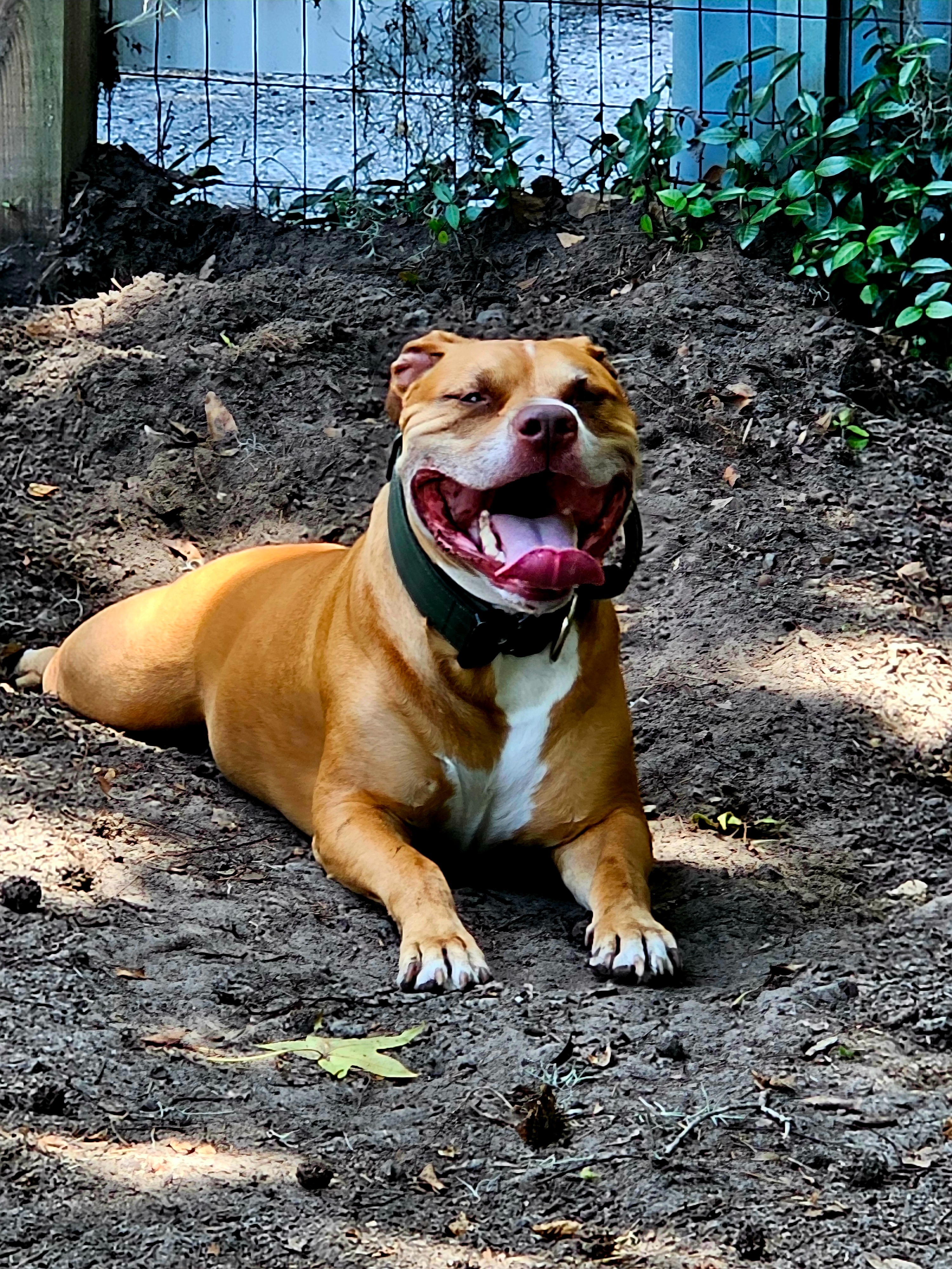 Help Dia get much needed knee surgery. campaign photo, 2 of 5