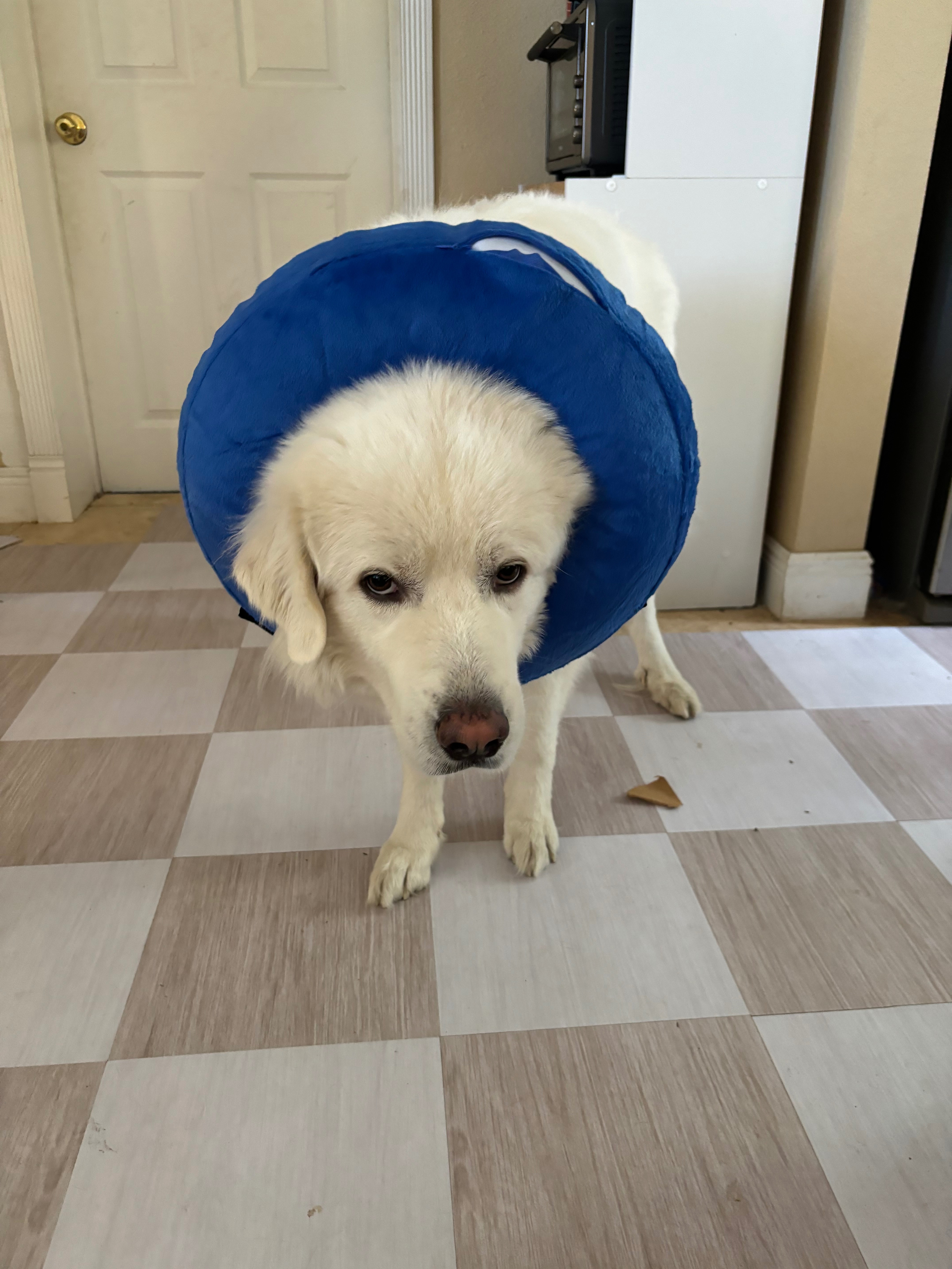 Donate to Aid Atlas's Recovery campaign photo, 4 of 7