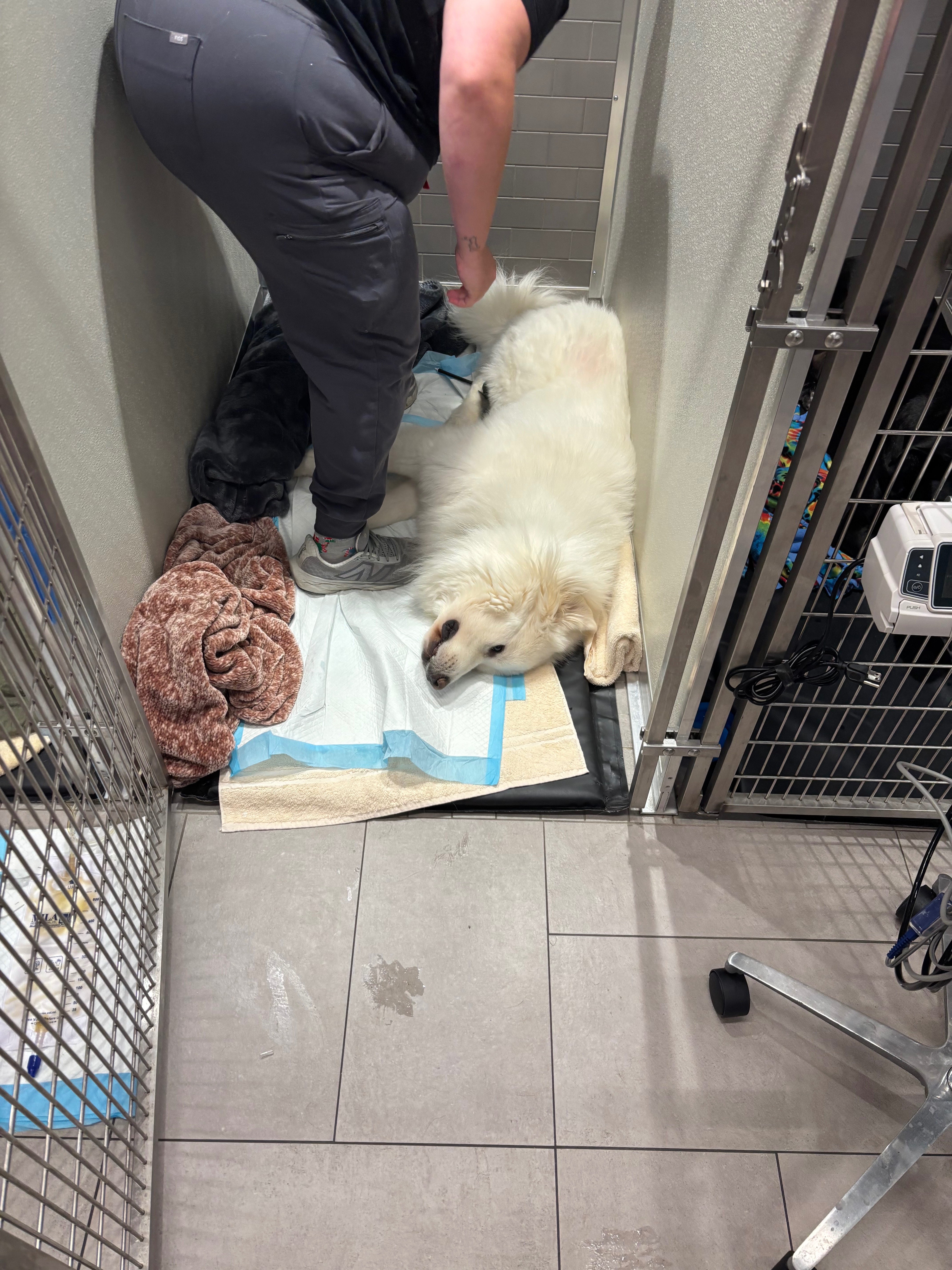 Donate to Aid Atlas's Recovery campaign photo, 5 of 7