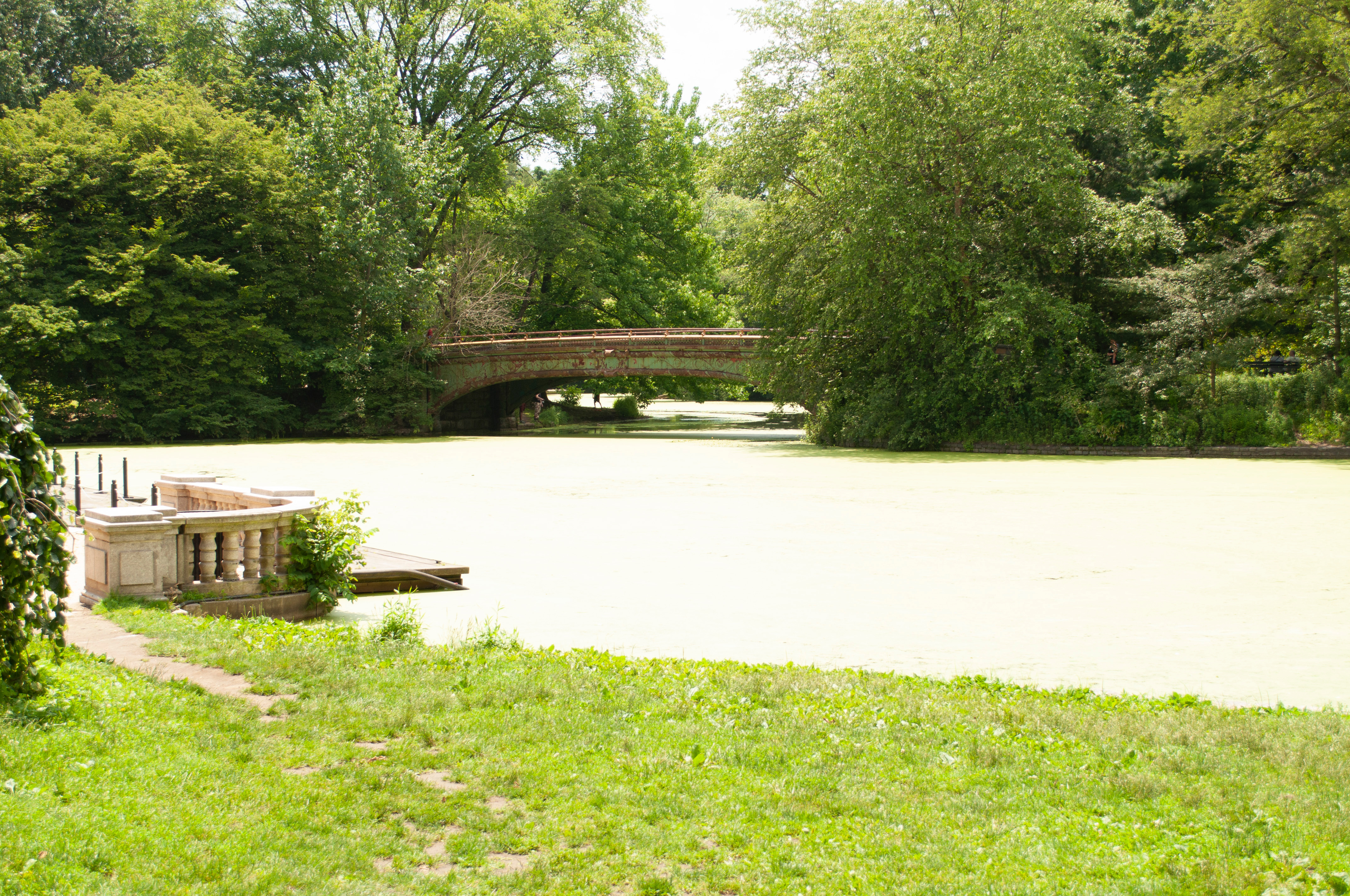 Kato's Memorial Bench in Prospect Park campaign photo, 2 of 6