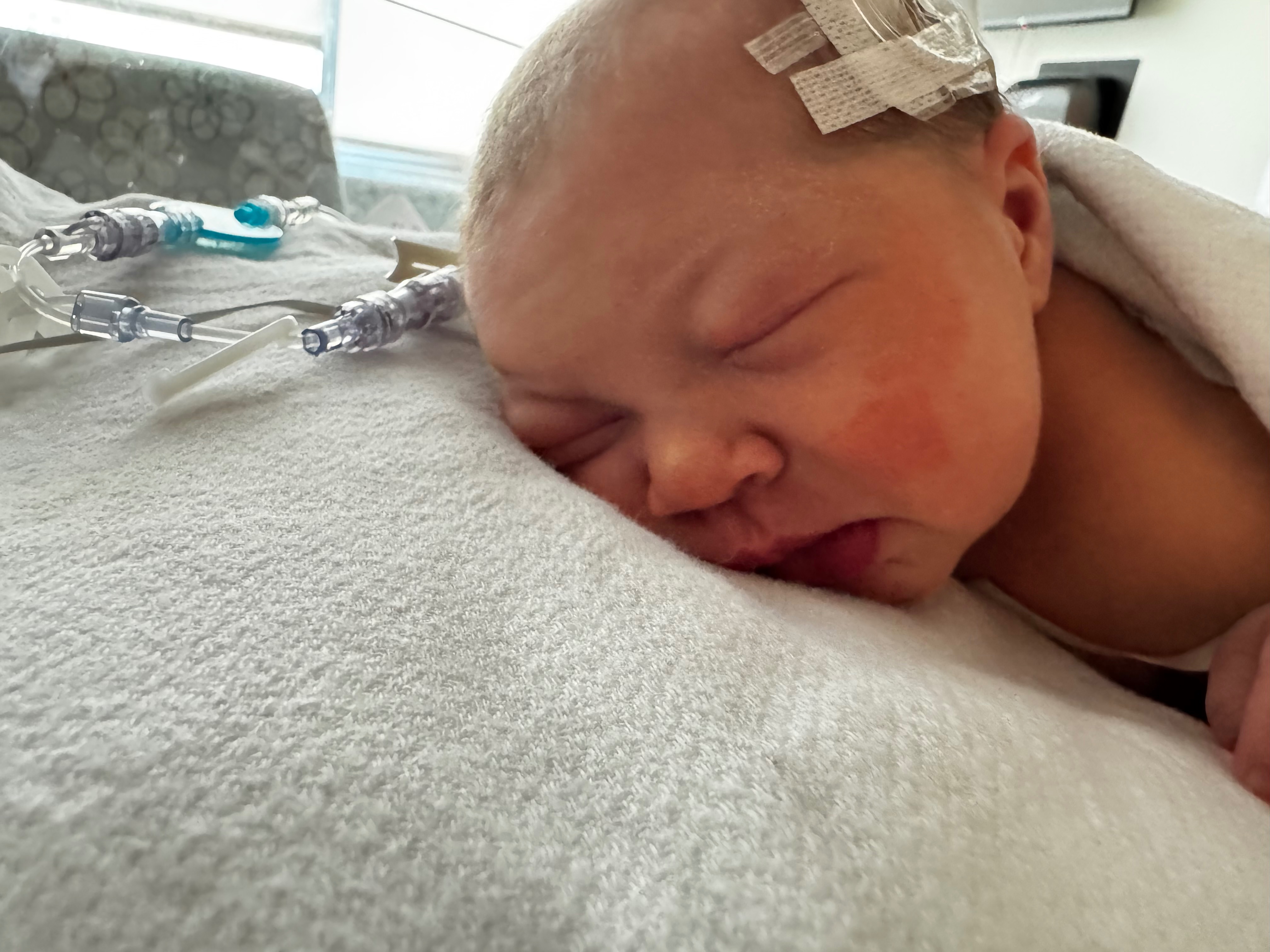 Support Kaitlyn & Eli's NICU Journey campaign photo, 7 of 8