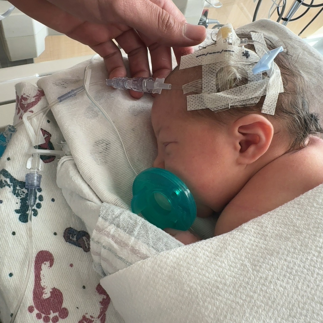 Support Kaitlyn & Eli's NICU Journey campaign photo, 5 of 8