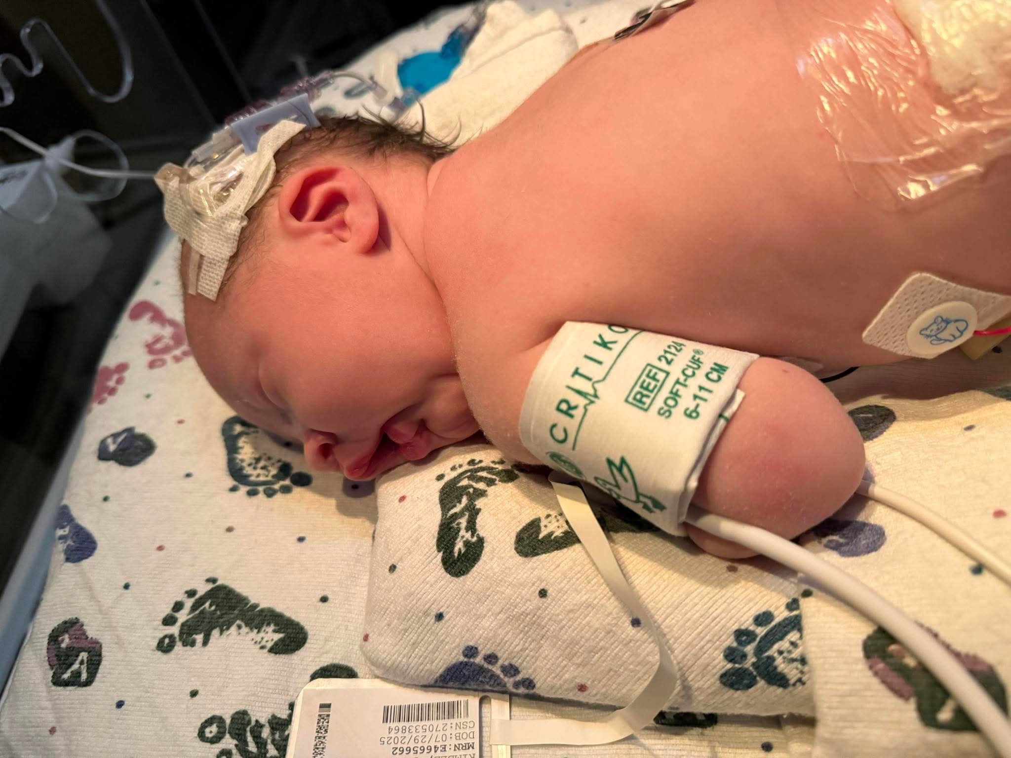 Support Kaitlyn & Eli's NICU Journey campaign photo, 6 of 8