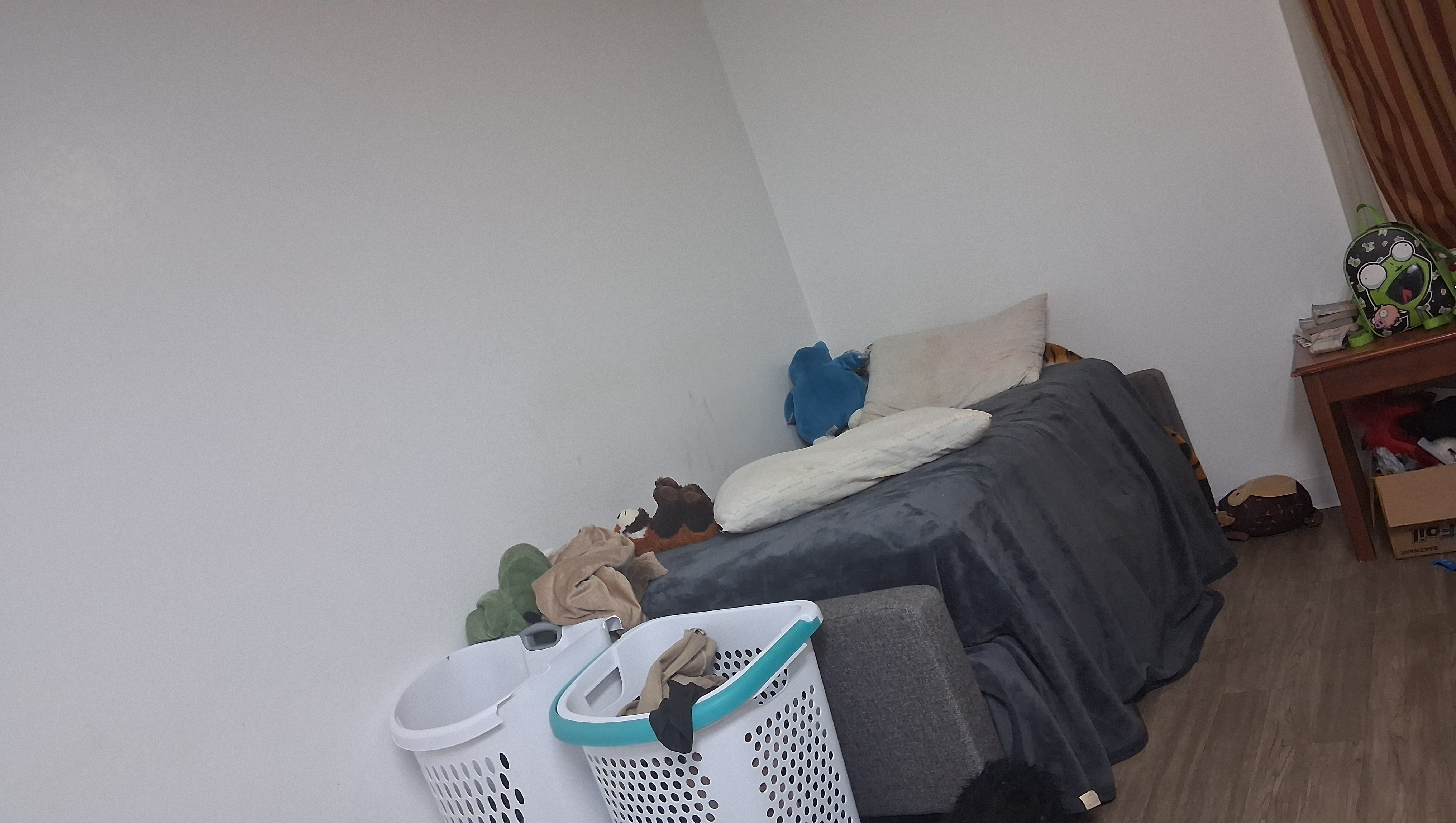 Help Three Roommates Secure a Safe Home photo