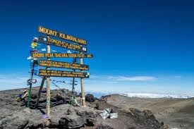 Mount Kilimanjaro Fundraiser campaign photo, 2 of 4