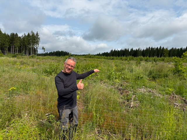 Zum Geburtstag, Gutes tun-Bäume für den Harz ! campaign photo, 7 of 8
