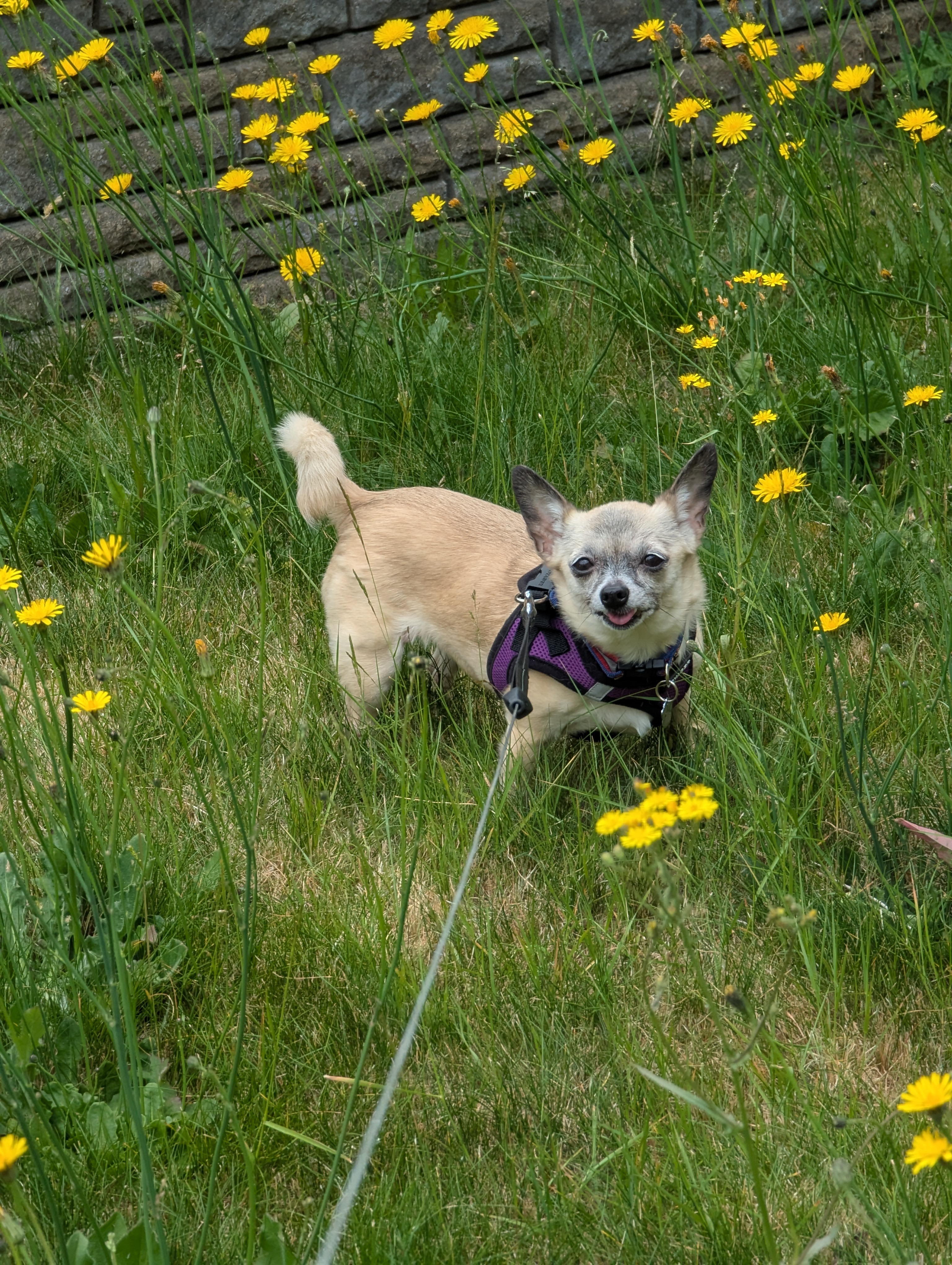 User-uploaded image 1