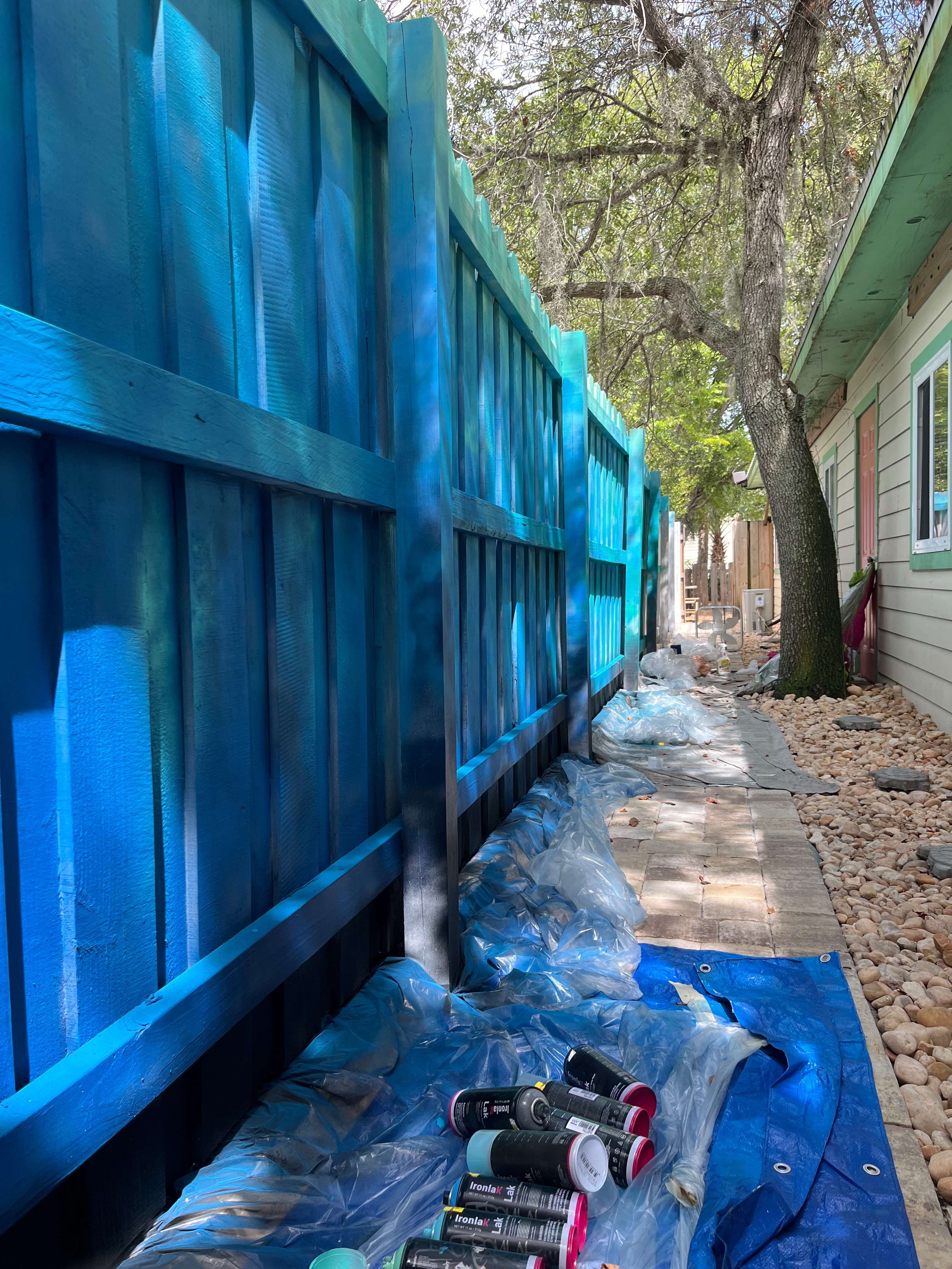 Help me bring the Turtle Trail to life campaign photo, 2 of 5