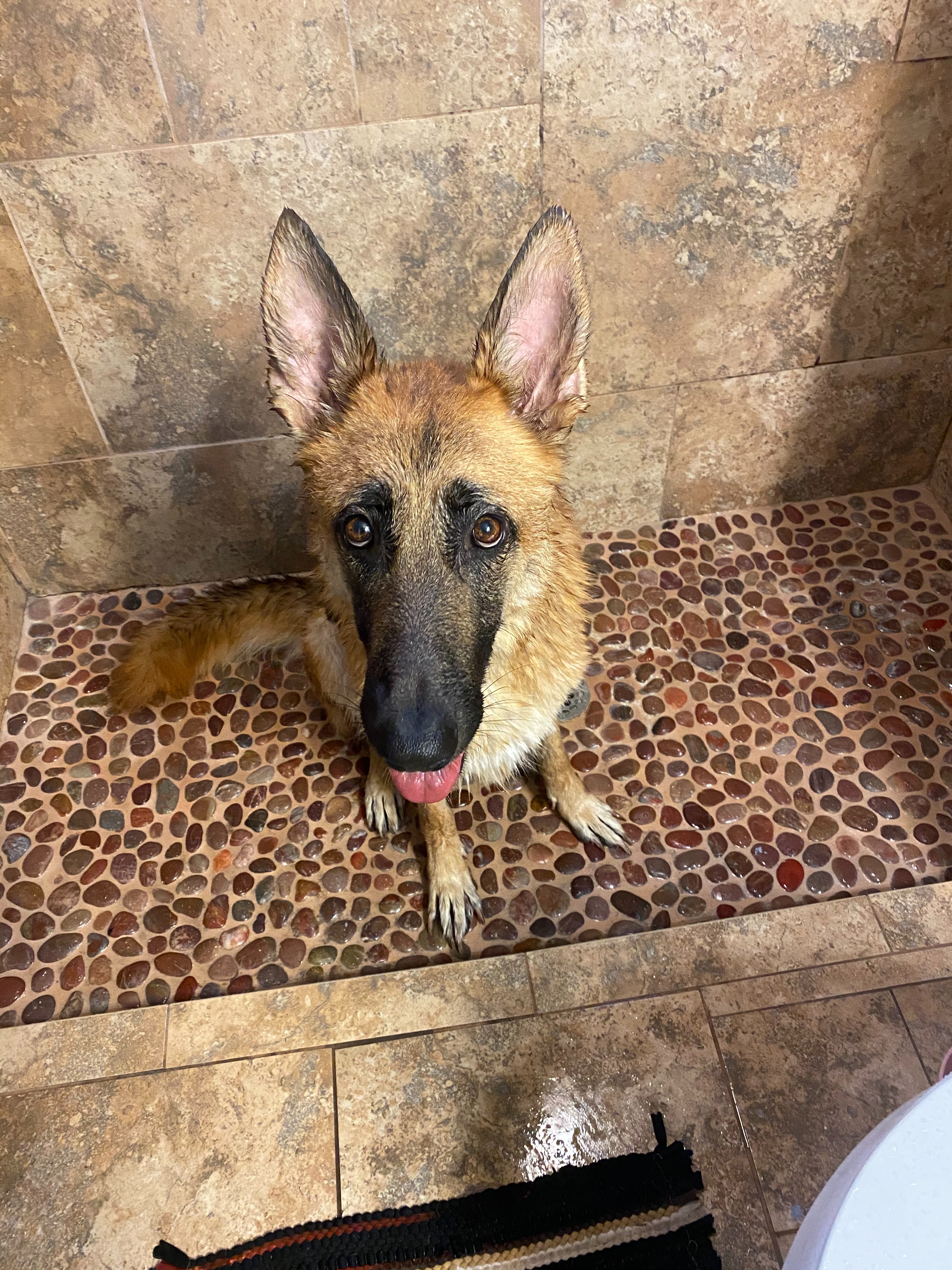 Help My Mom With Luna’s Final Vet Bills campaign photo, 4 of 6