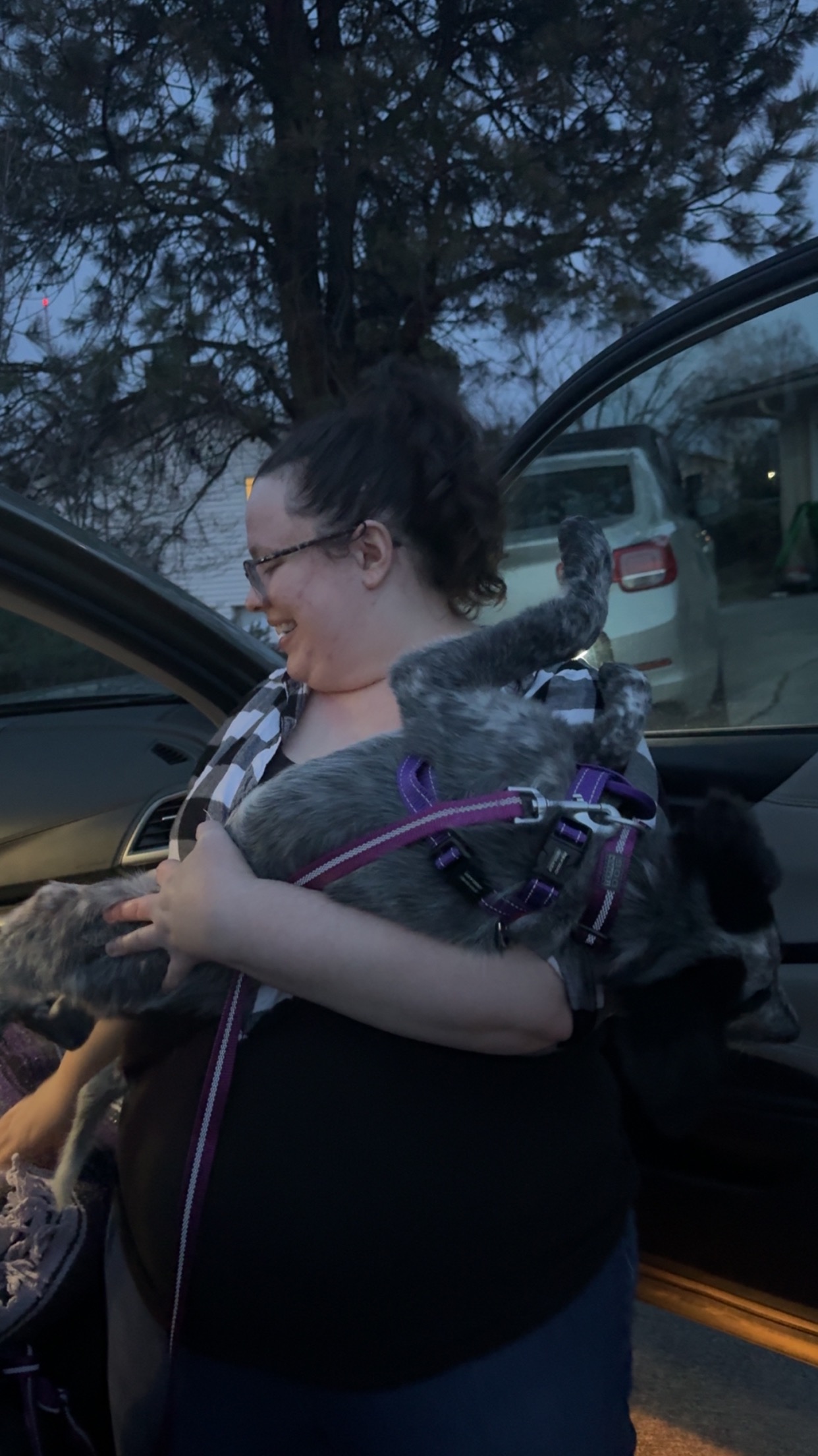 Support Elizabeth and Bandit After Fire campaign photo, 7 of 8