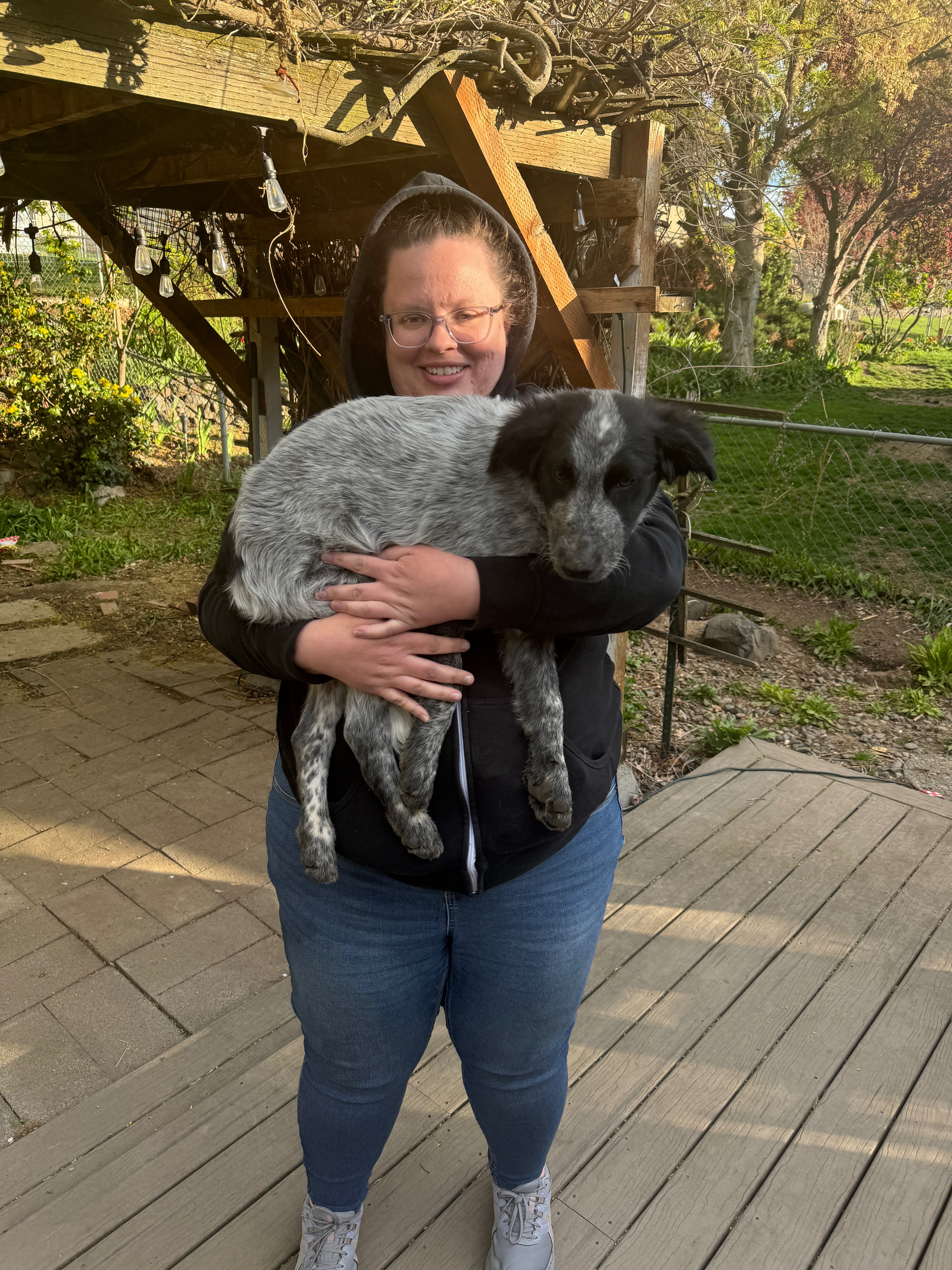 Support Elizabeth and Bandit After Fire campaign photo, 5 of 8