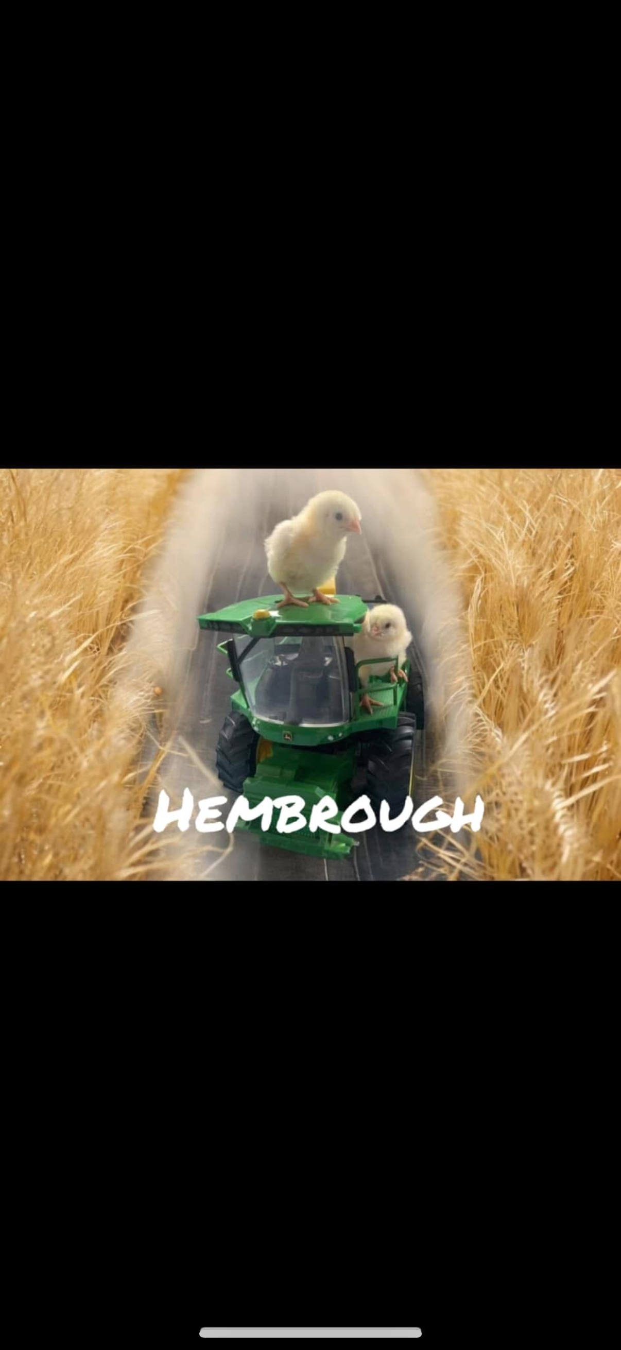Help keep our small local farm business alive! campaign photo, 2 of 4