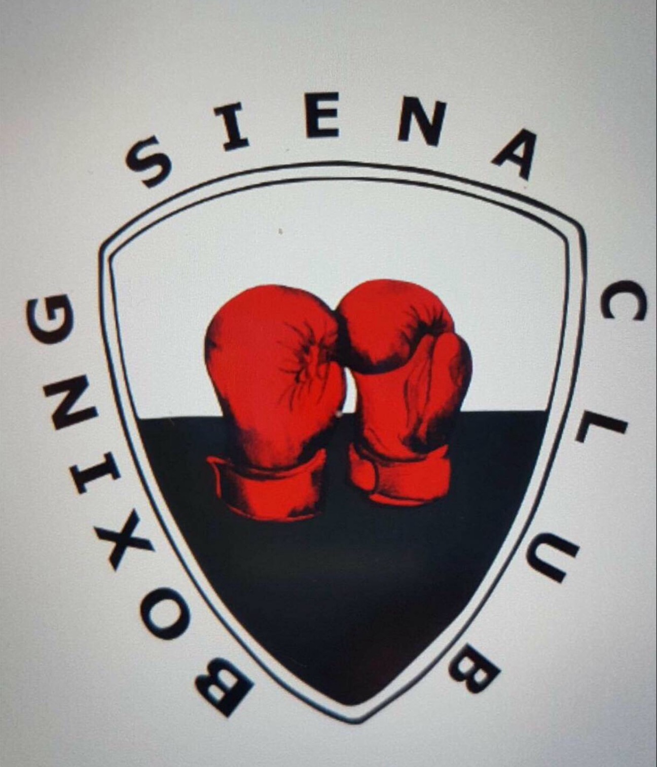 Dona per costruire la “casa” del Boxing Club Siena campaign photo, 2 of 5