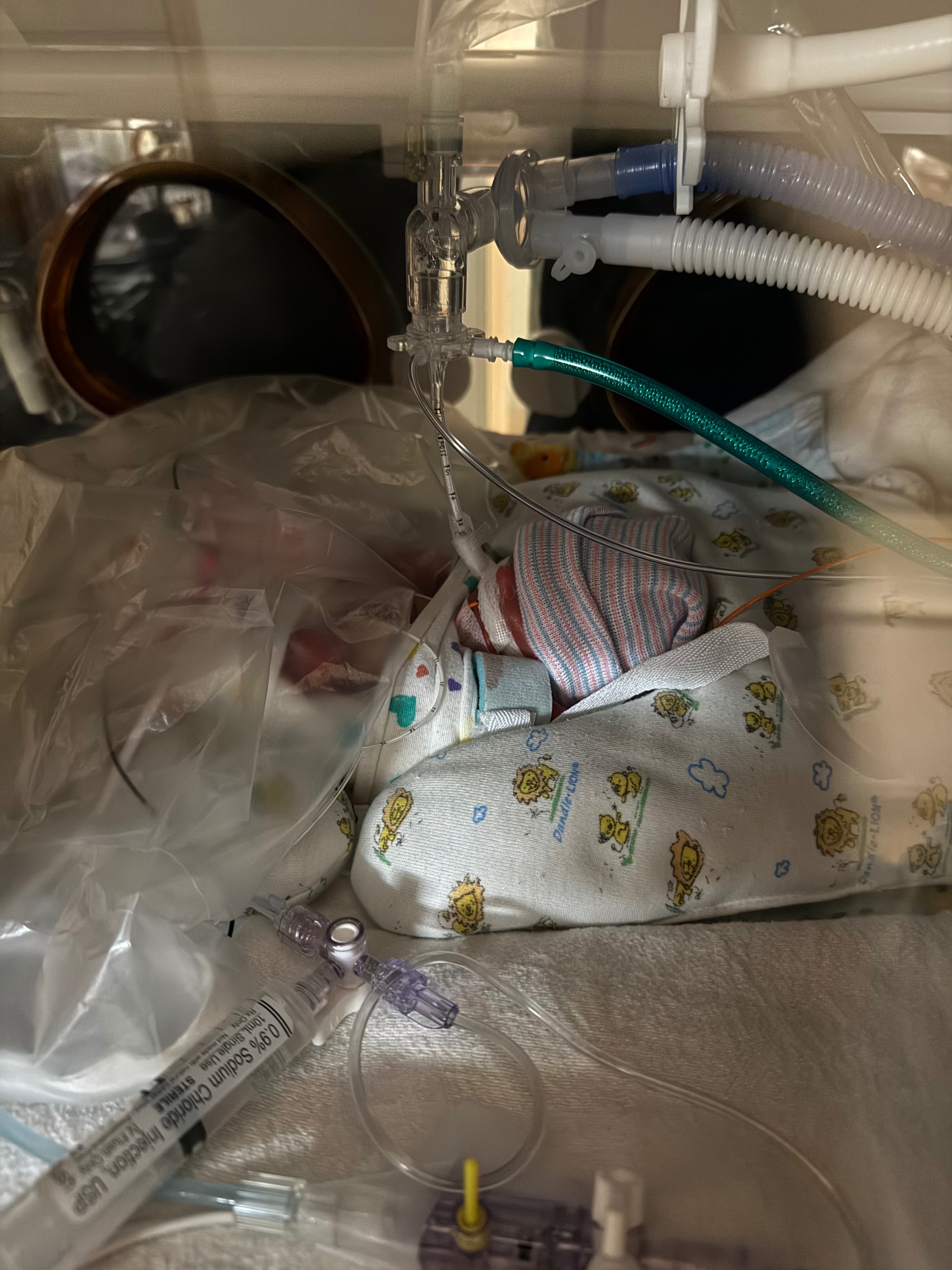 Ryann and Wyatt's Preemie Twins Fund campaign photo, 4 of 5