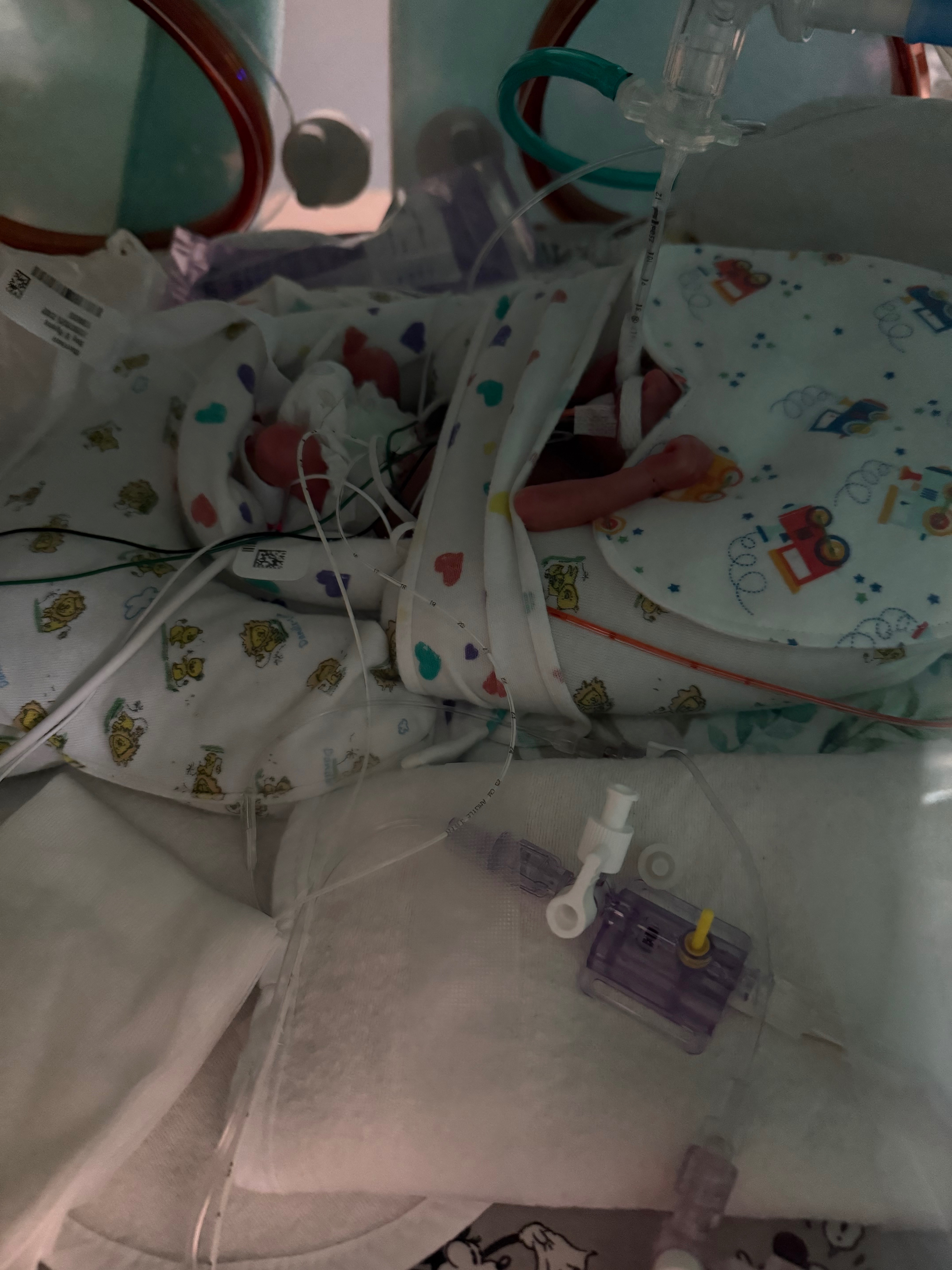 Ryann and Wyatt's Preemie Twins Fund campaign photo, 2 of 5