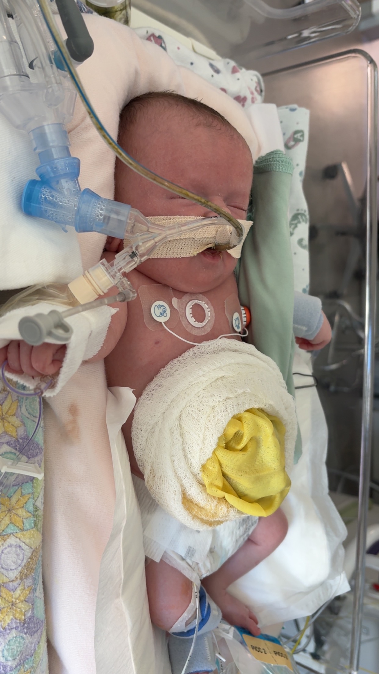 User-uploaded image 1