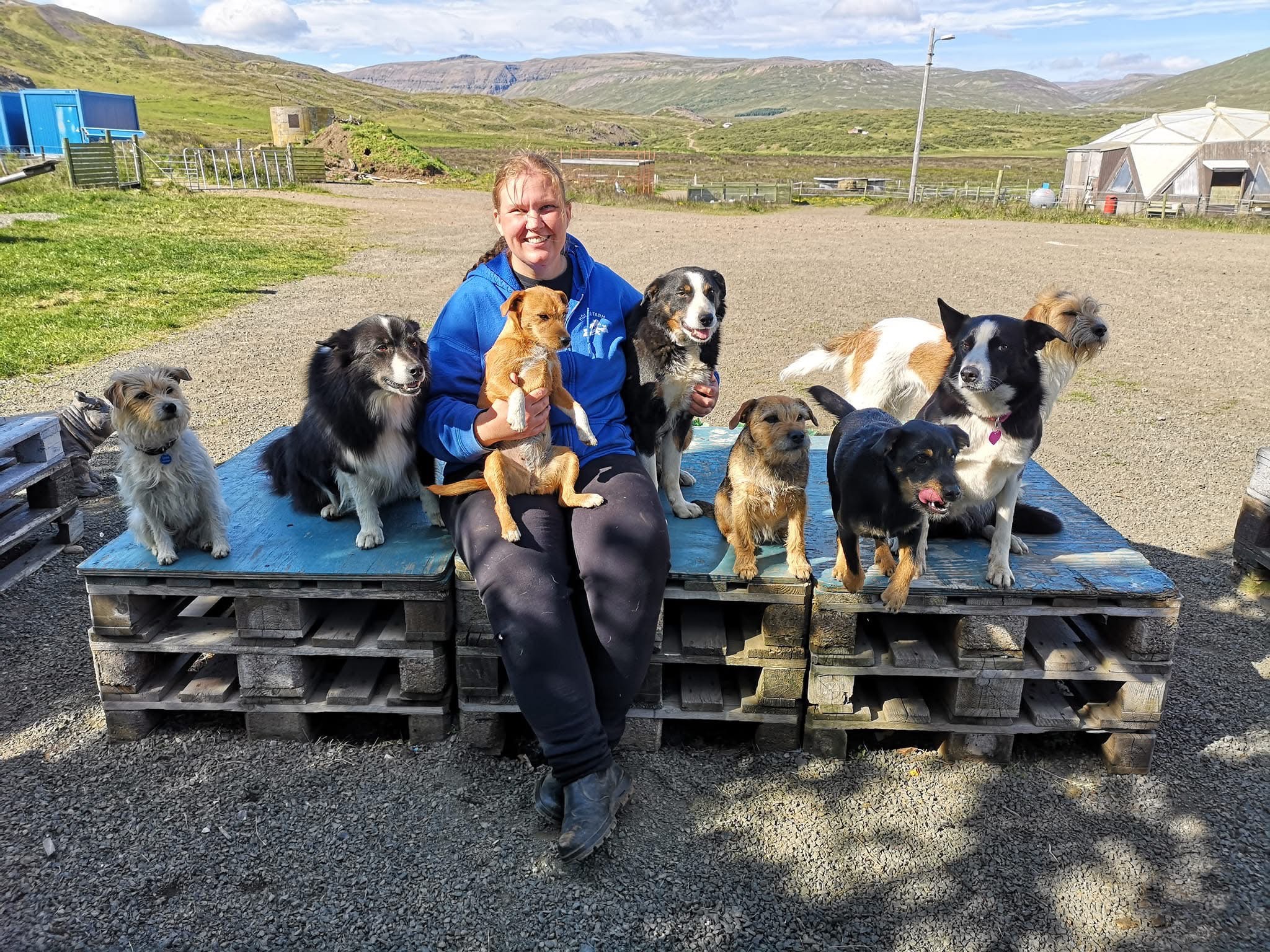 Help Us House Rescued Animals in Iceland! campaign photo, 2 of 8