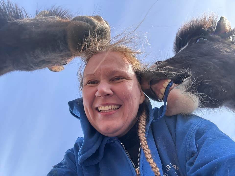 Help Us House Rescued Animals in Iceland! campaign photo, 4 of 8