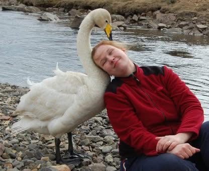 Help Us House Rescued Animals in Iceland! campaign photo, 5 of 8