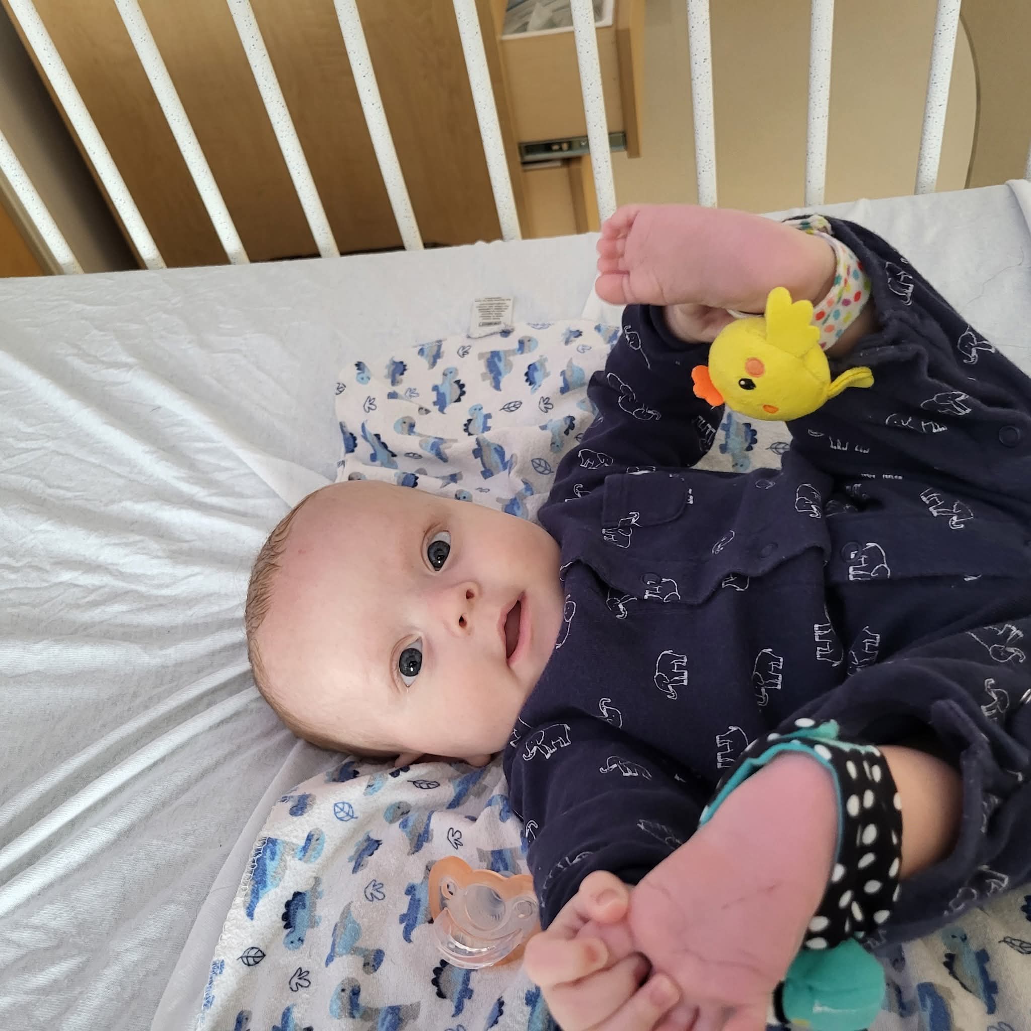 Thomas's Family Needs Your Help and Support campaign photo, 5 of 8