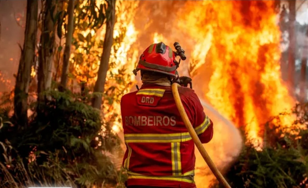 Bombeiros de Portugal - Portuguese Firefighters campaign photo, 2 of 4