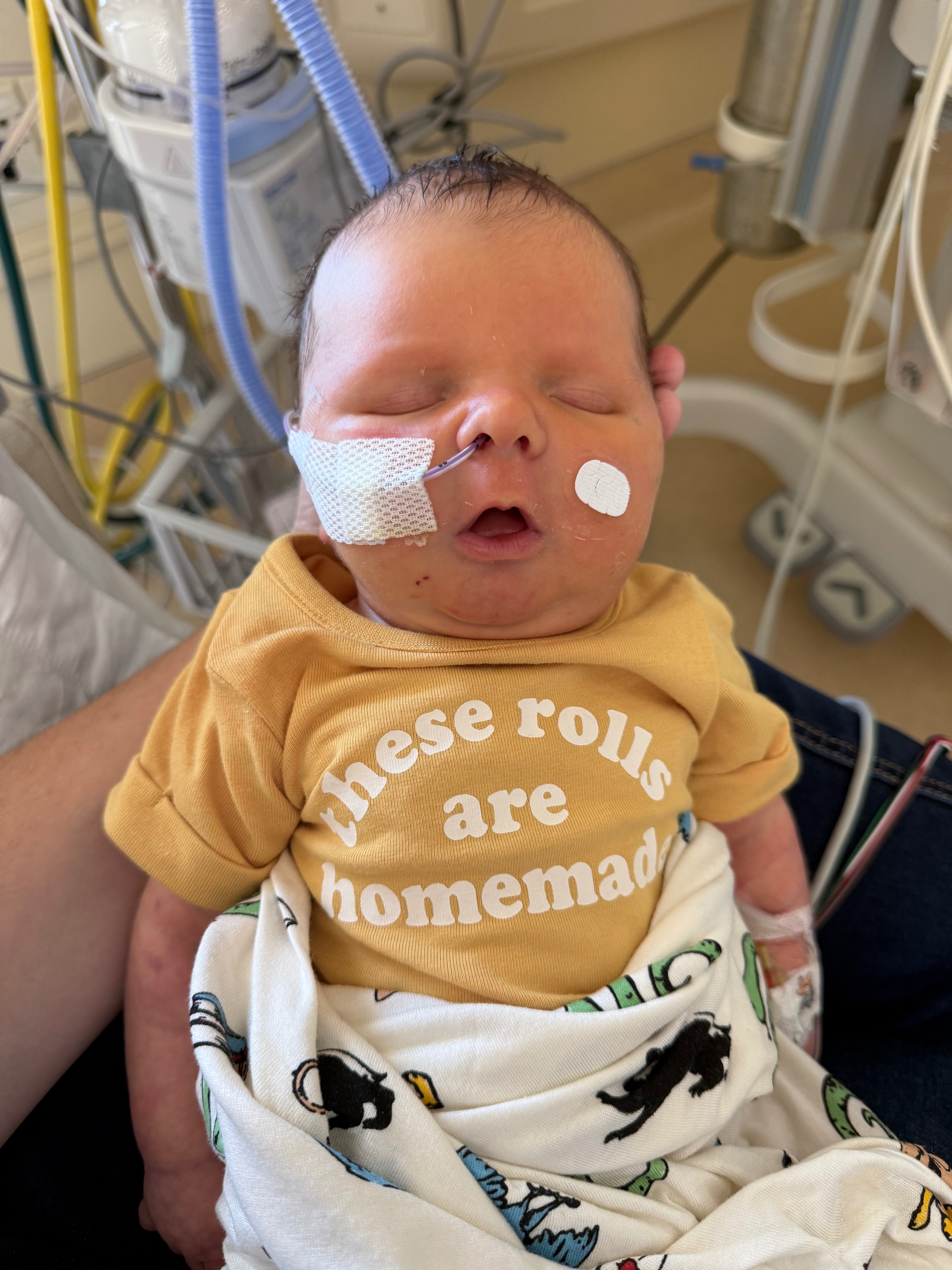 User-uploaded image 1