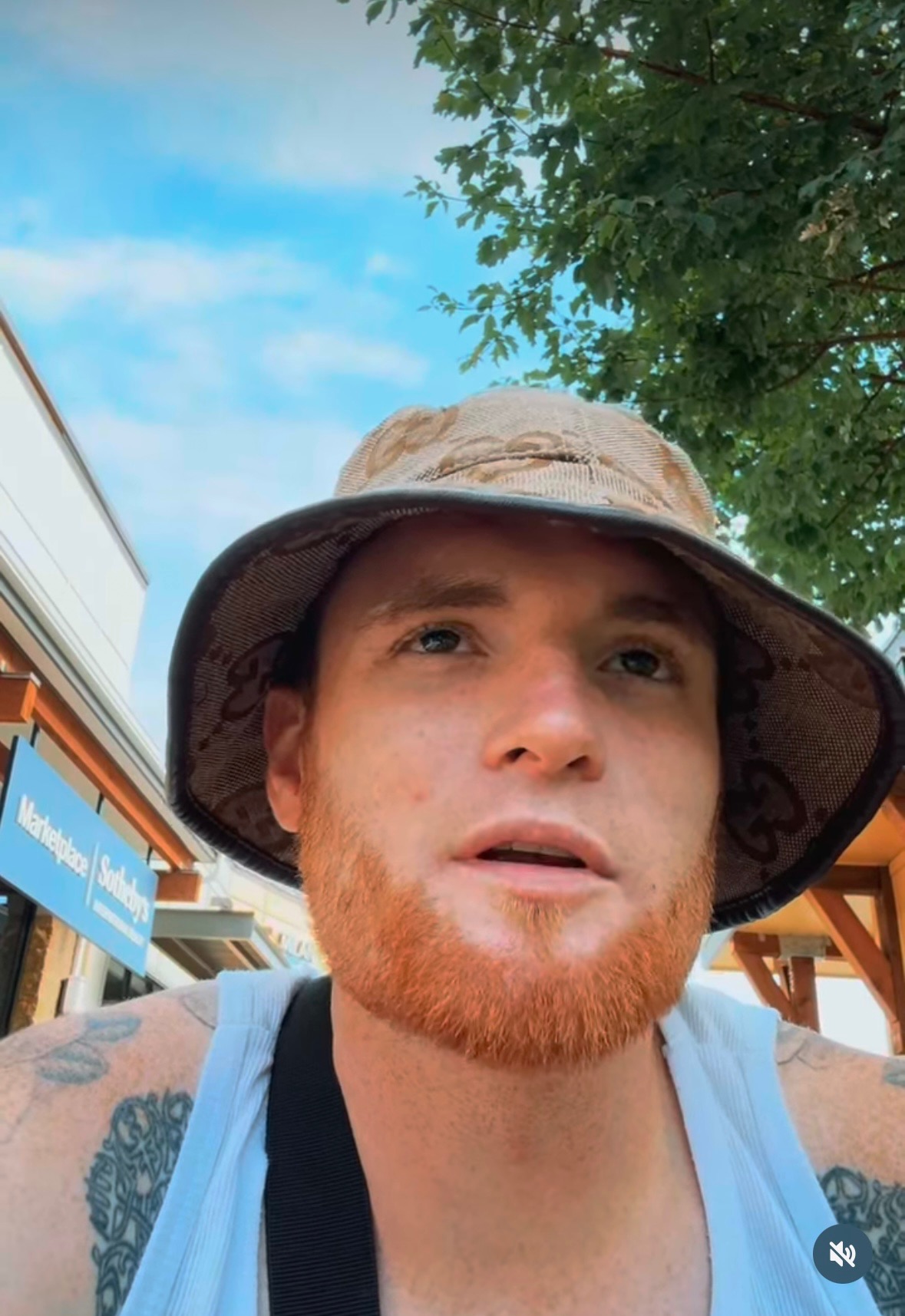 User-uploaded image 1